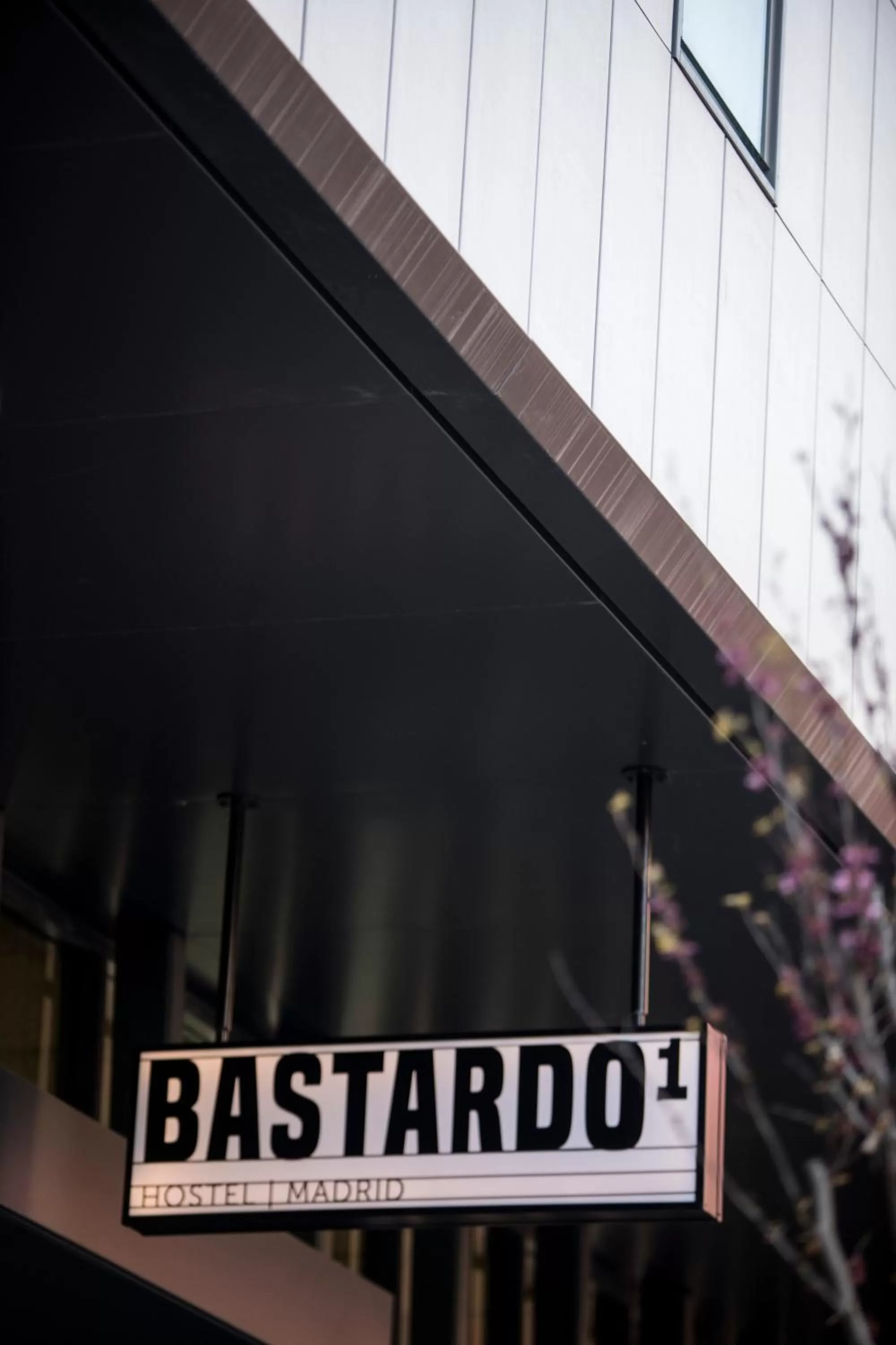 Facade/entrance in Bastardo Hostel