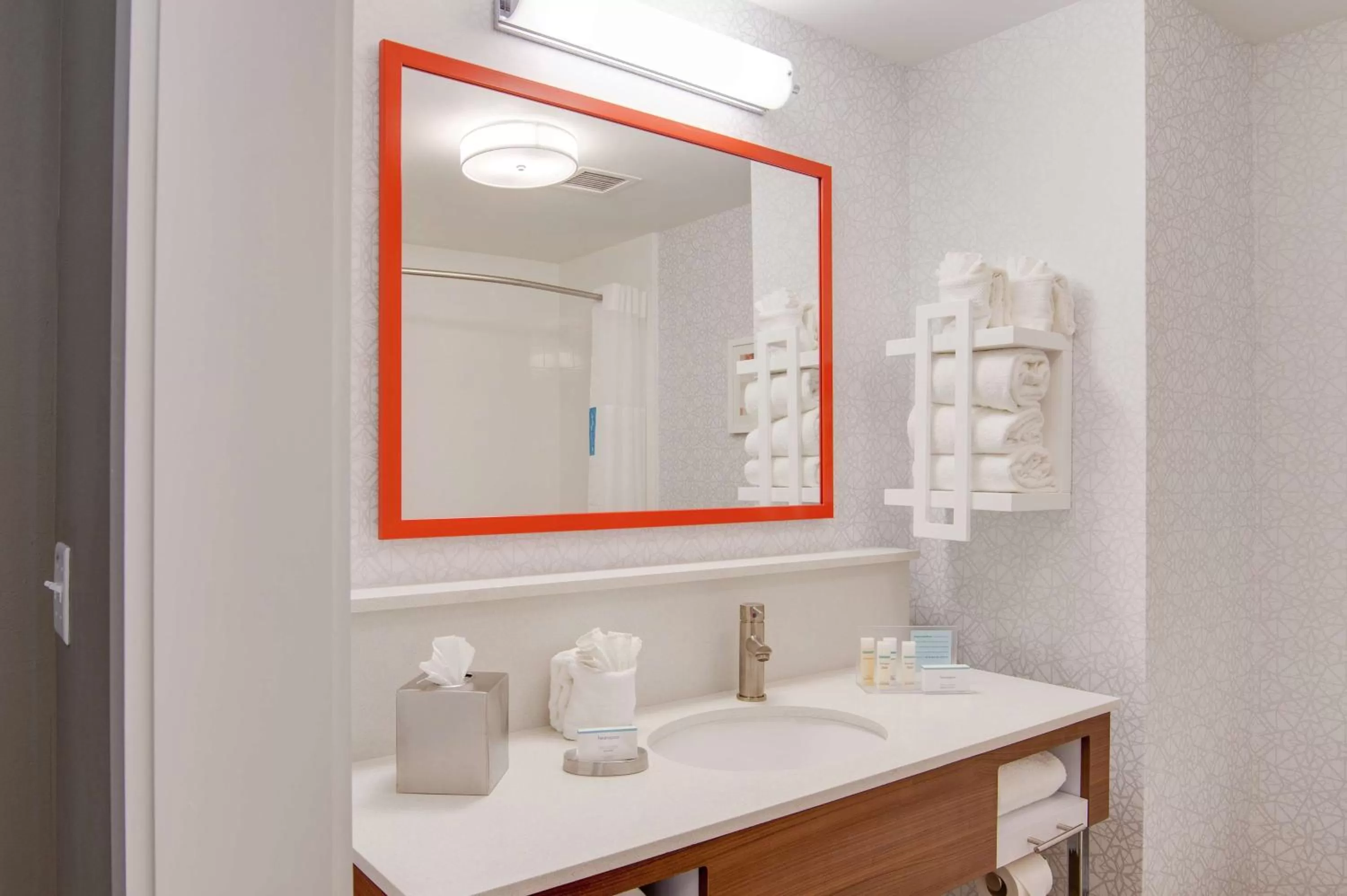 Bathroom in Hampton Inn & Suites by Hilton Nashville North Skyline