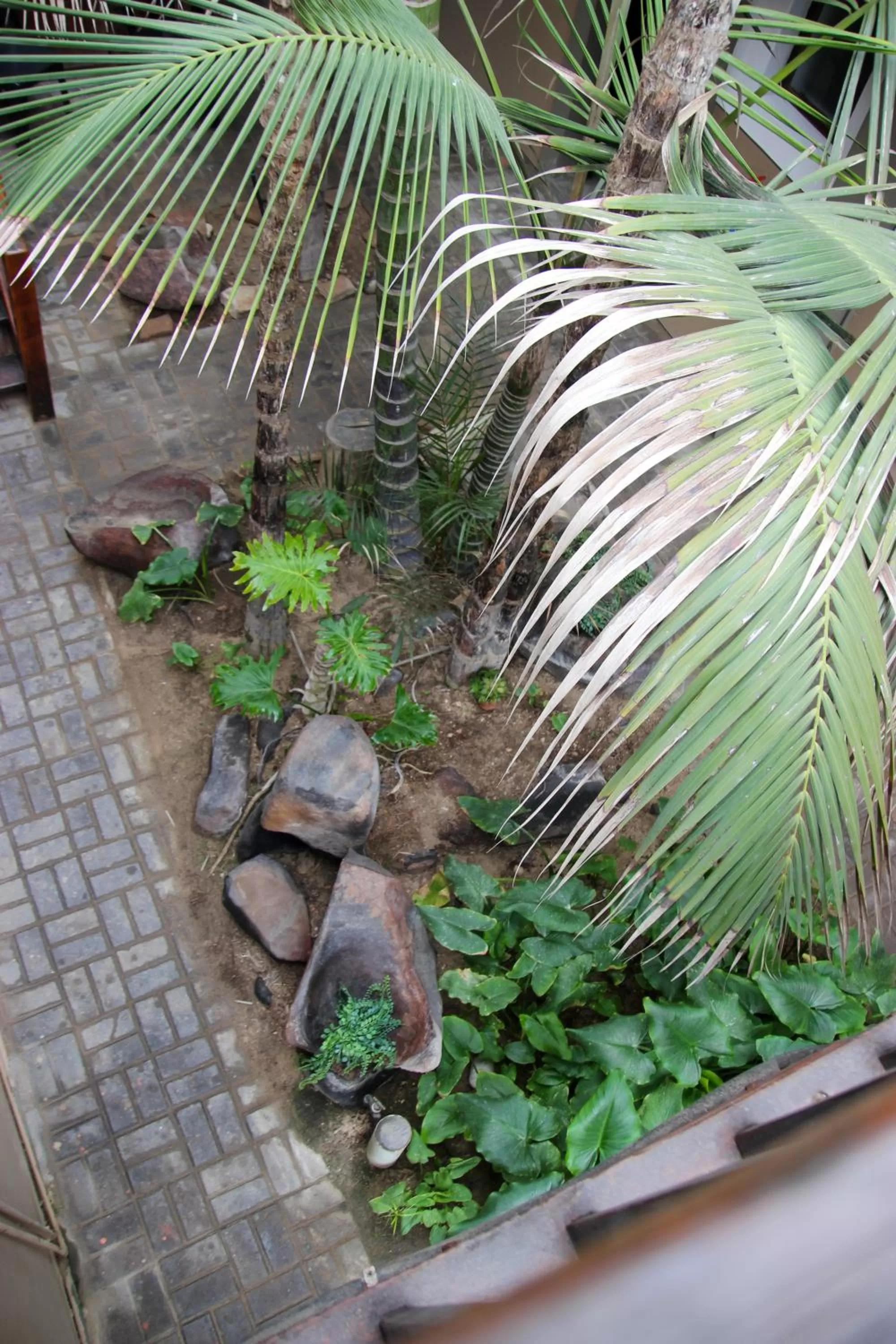 The Residence at Villa Wiese