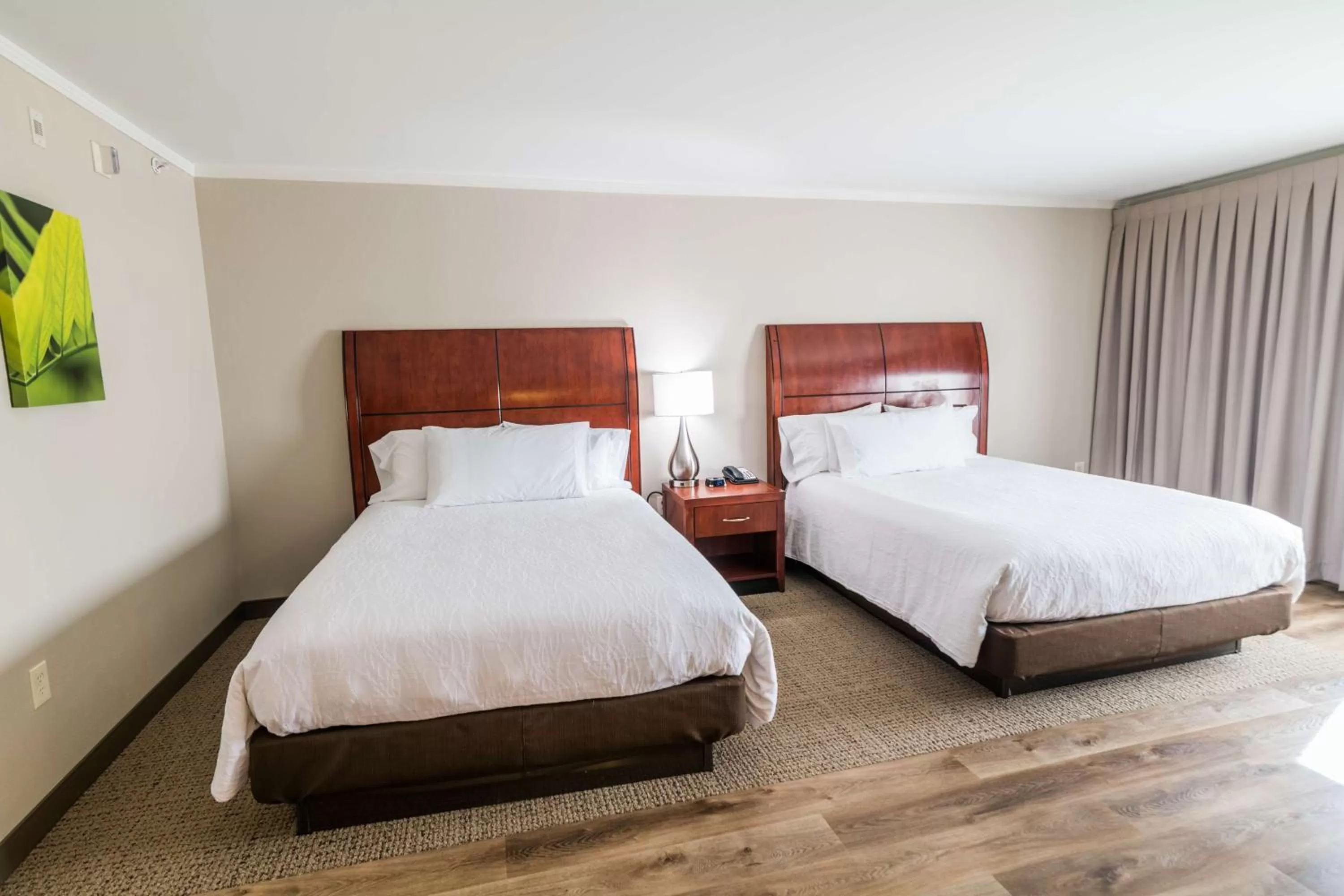 Bed in Hilton Garden Inn Bowling Green