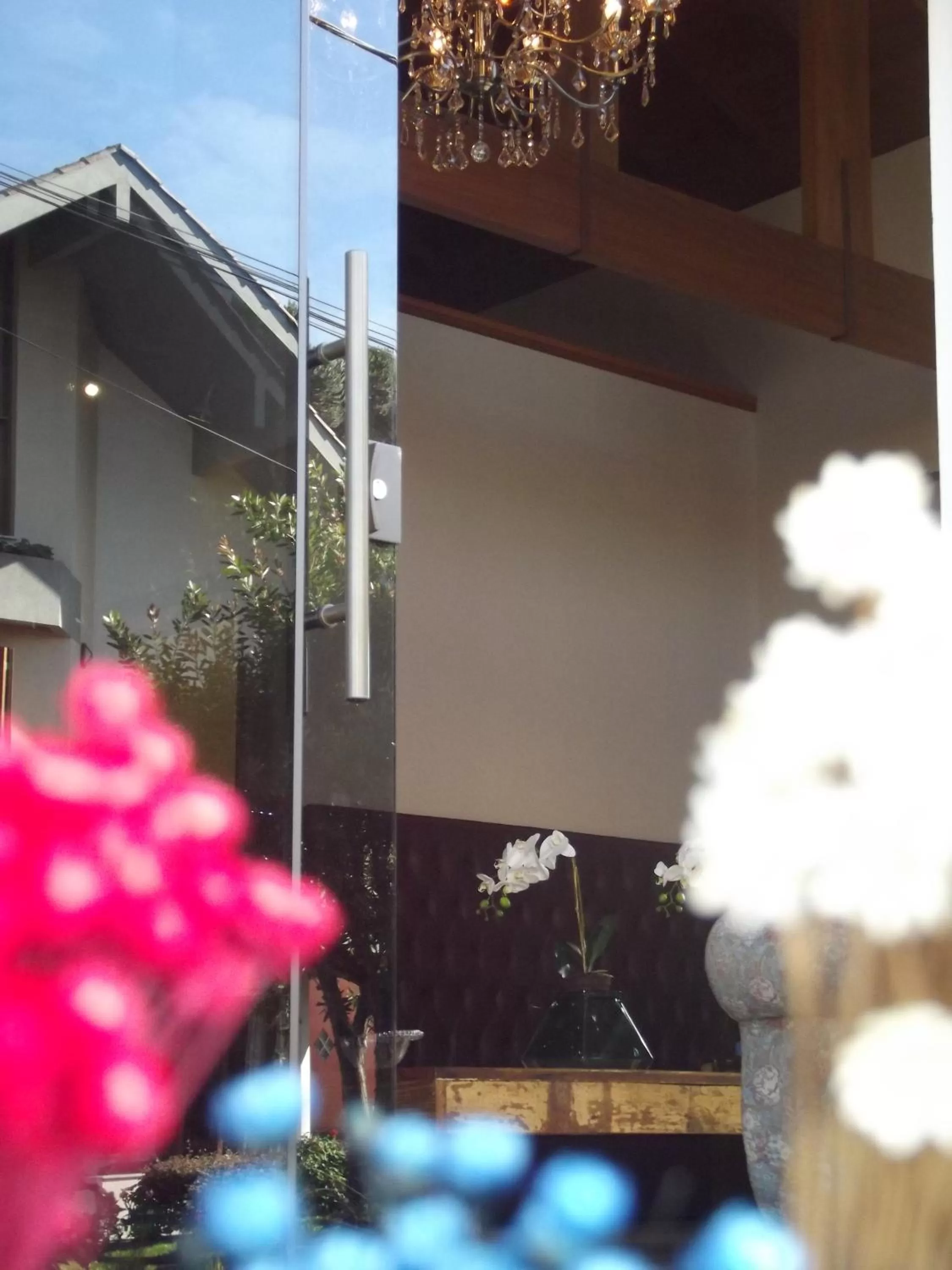 Lobby or reception, Patio/Outdoor Area in Hotel Park Haus