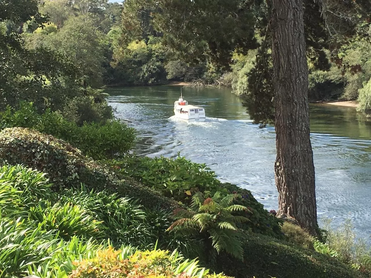 Property building in On The River