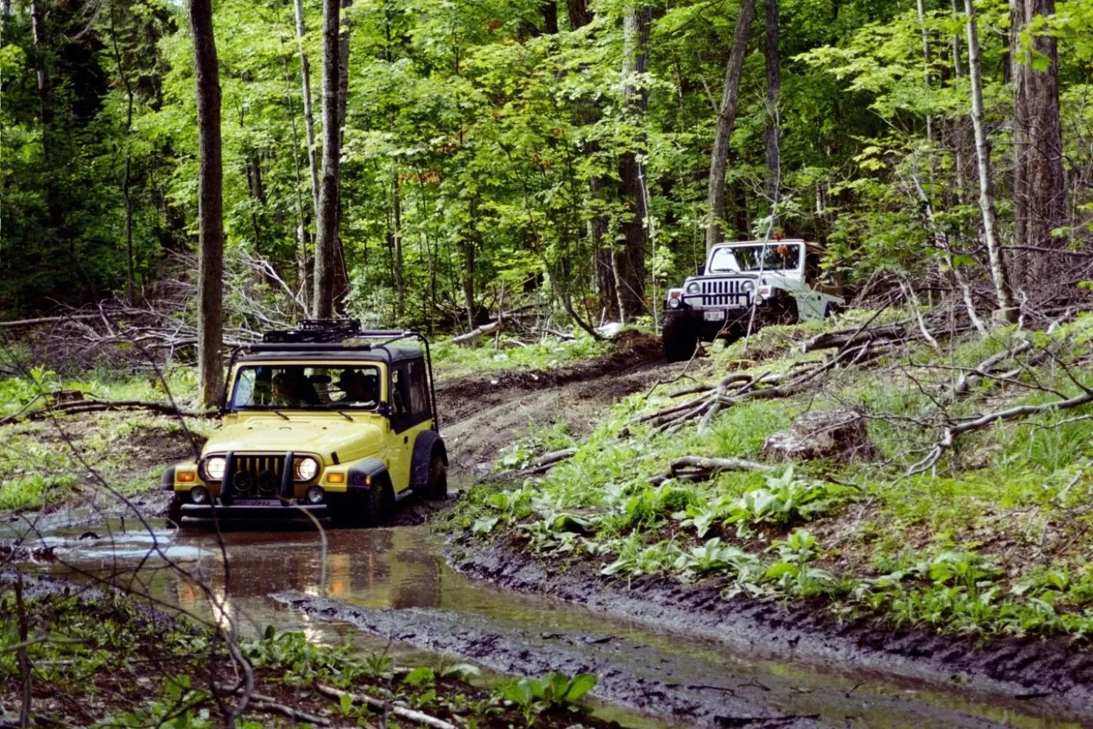 Sports in Drummond Island Resort