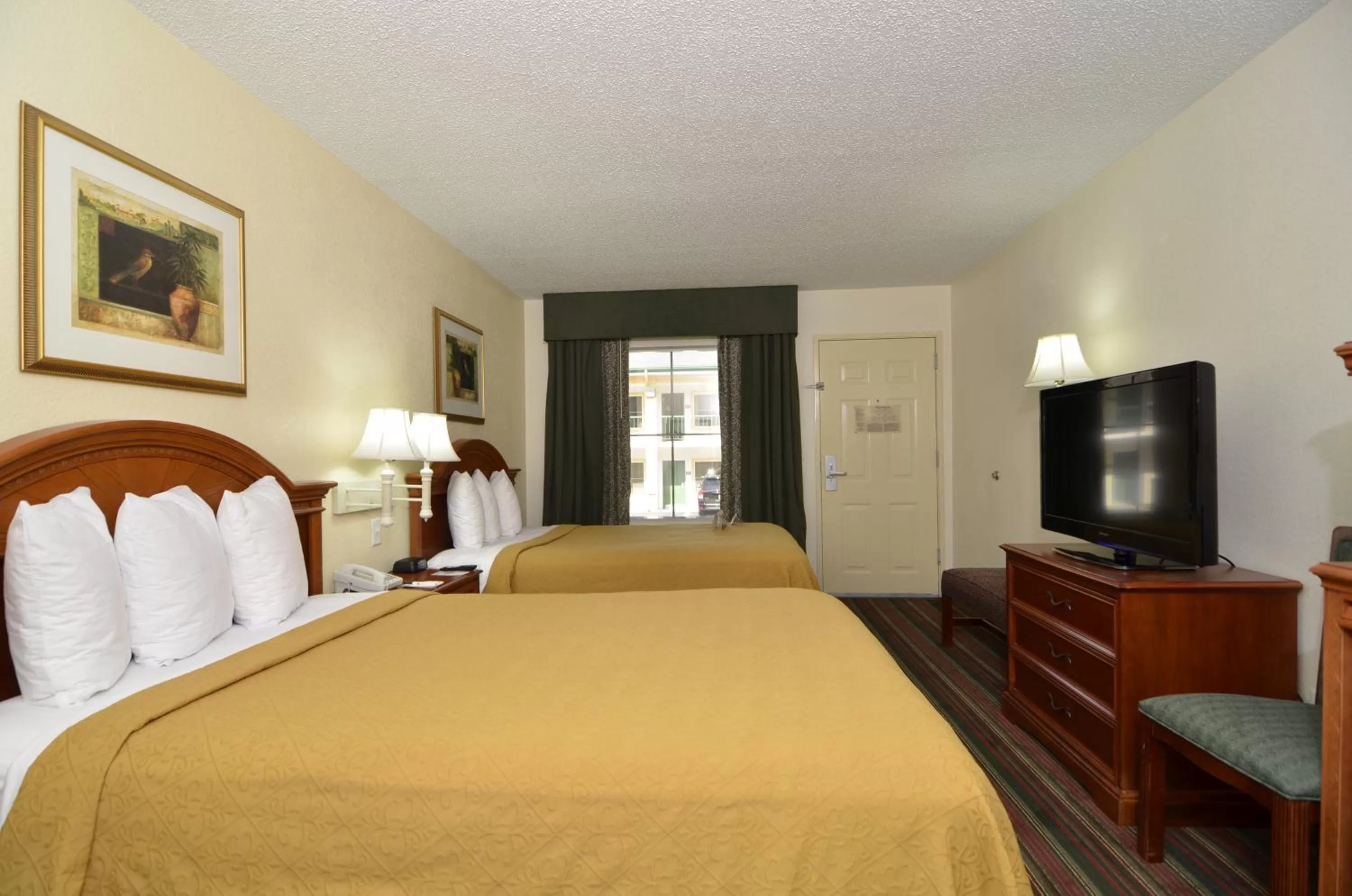 Photo of the whole room in Quality Inn & Suites Biltmore East