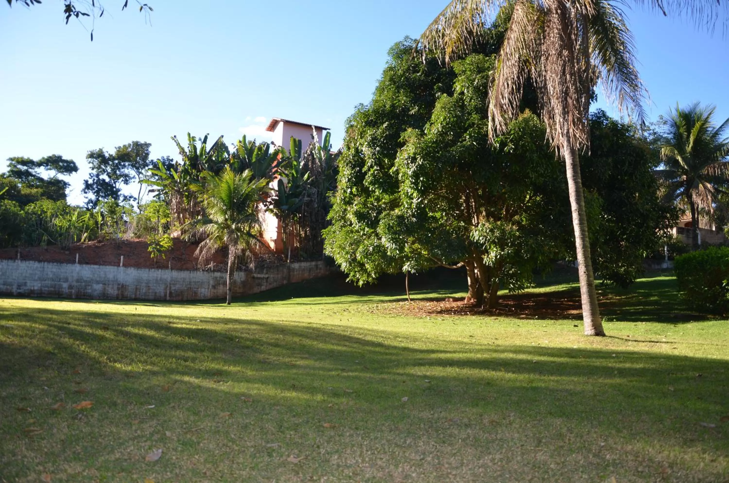 Garden in Hotel 3 Pontões
