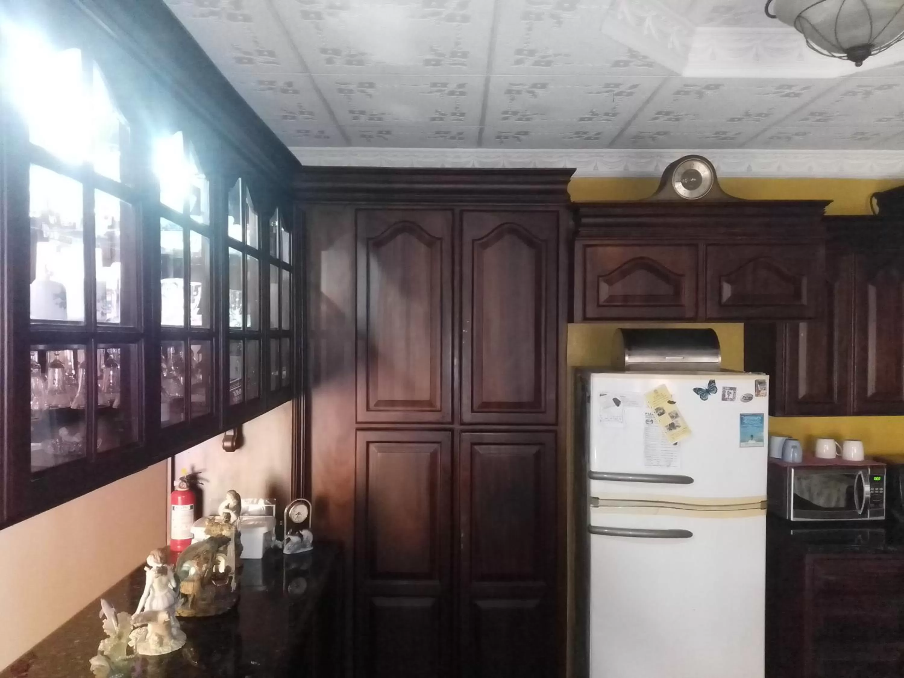 Kitchen or kitchenette, Lobby/Reception in Alexander b&b