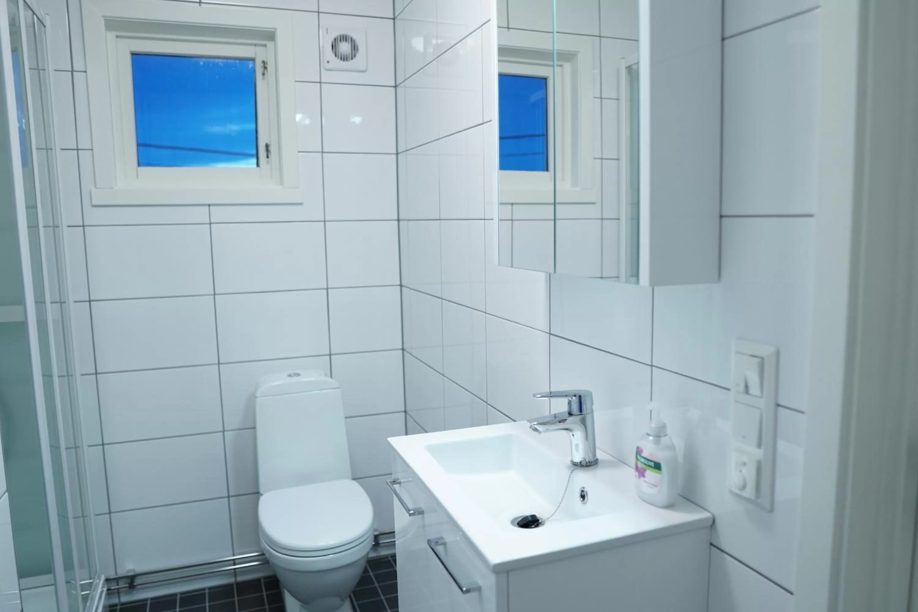 Bathroom in Jakobselvkaia