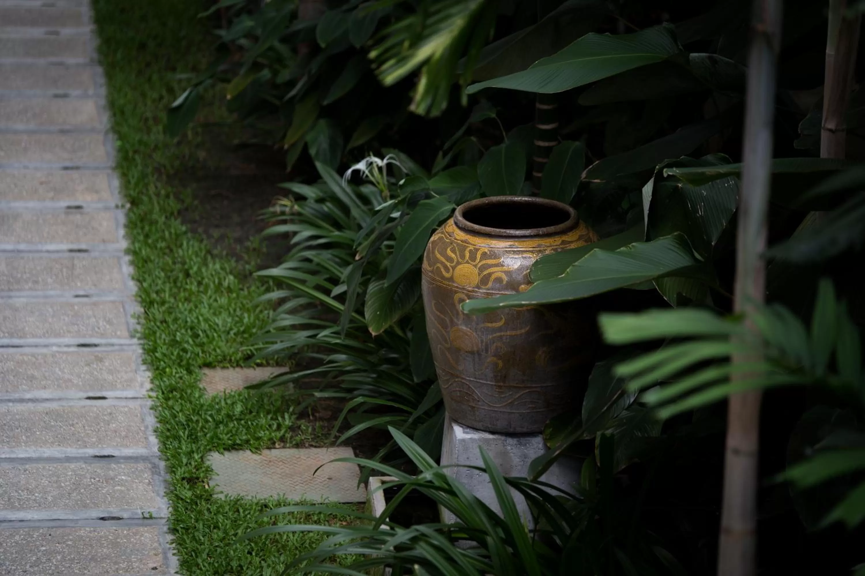 Garden in Muntri Grove