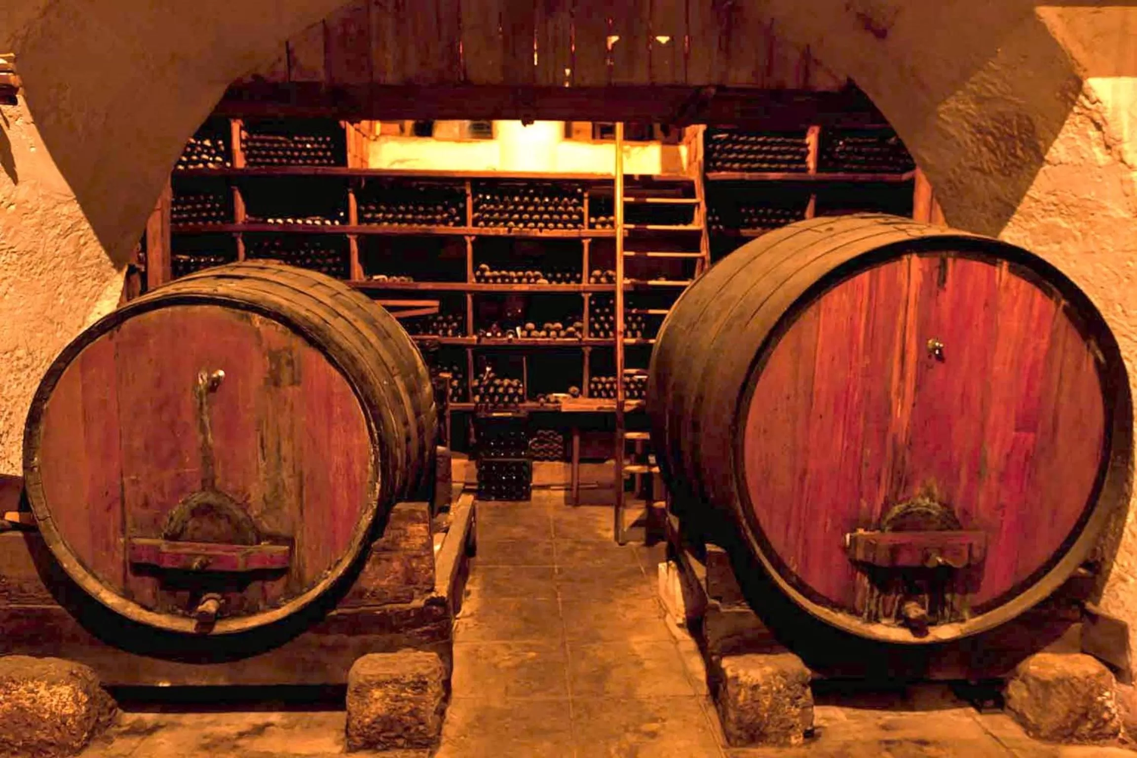 Area and facilities in Palace Hotel do Bussaco