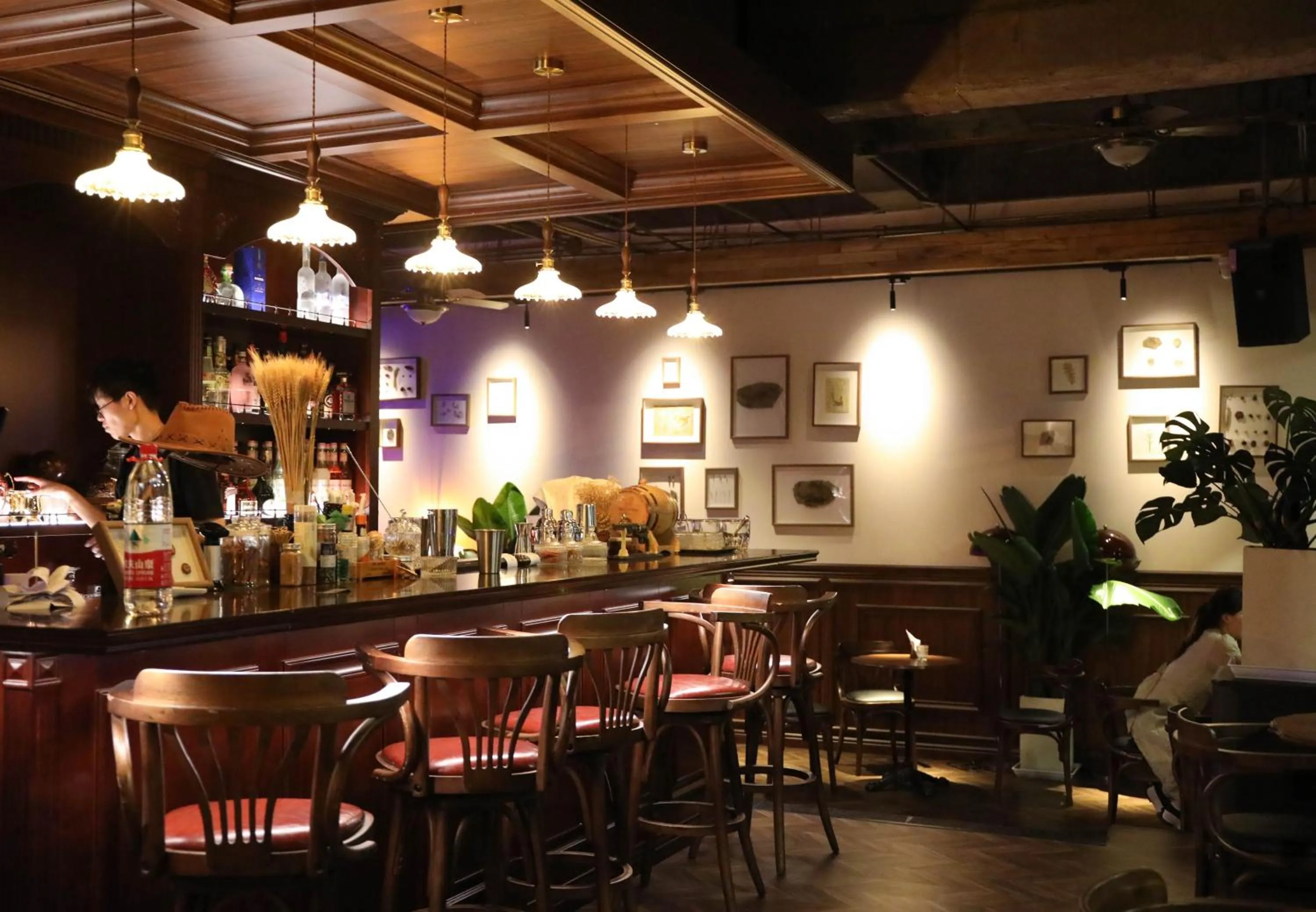 Lounge or bar in SONDERIA Lazybones Hostel- Wenshu Temple Side, Chill Hostel with All-Day Brunch, Travel Agency in English & Local Bar Vibes