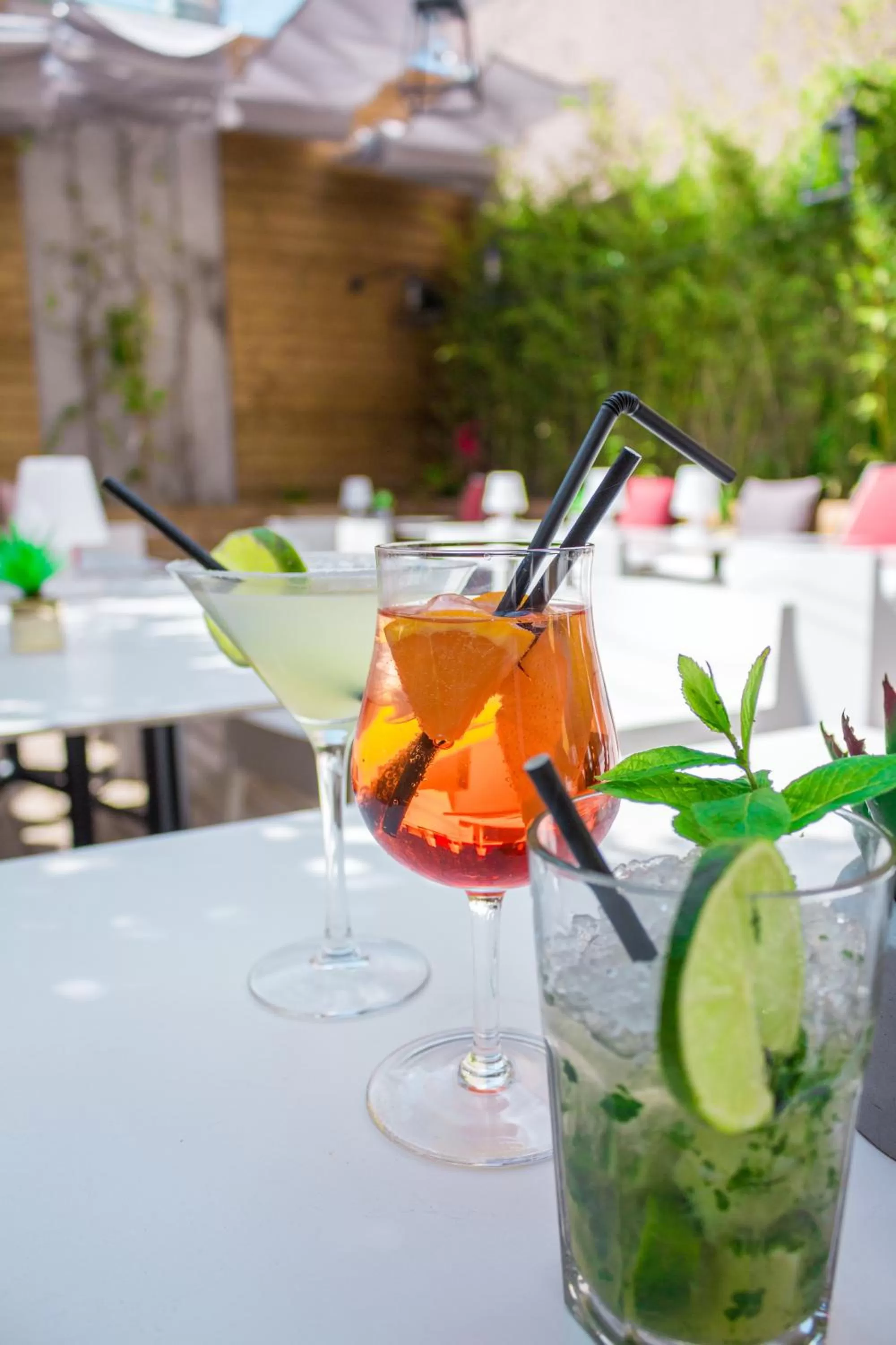 Drinks in Hôtel Restaurant Vaillant Colmar Nord