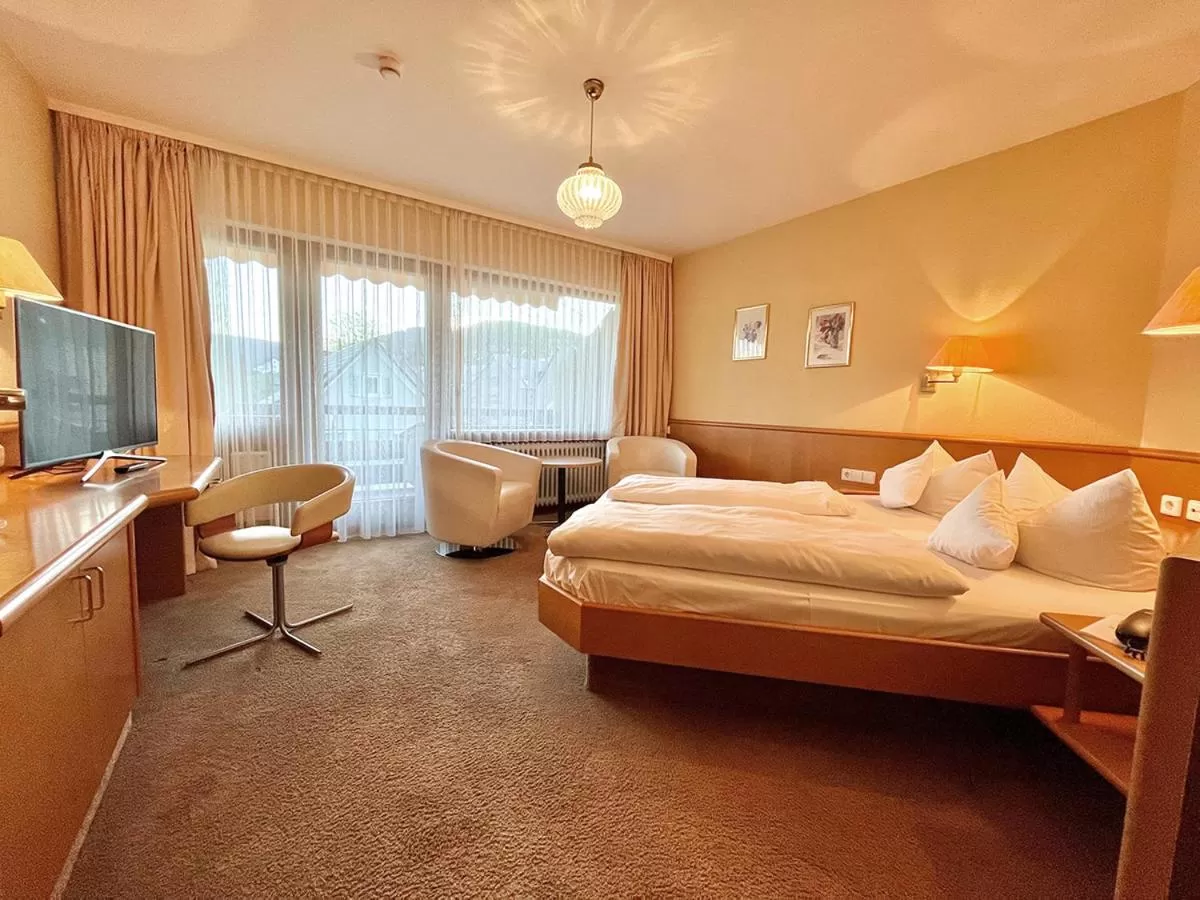 Photo of the whole room in Hotel Rose