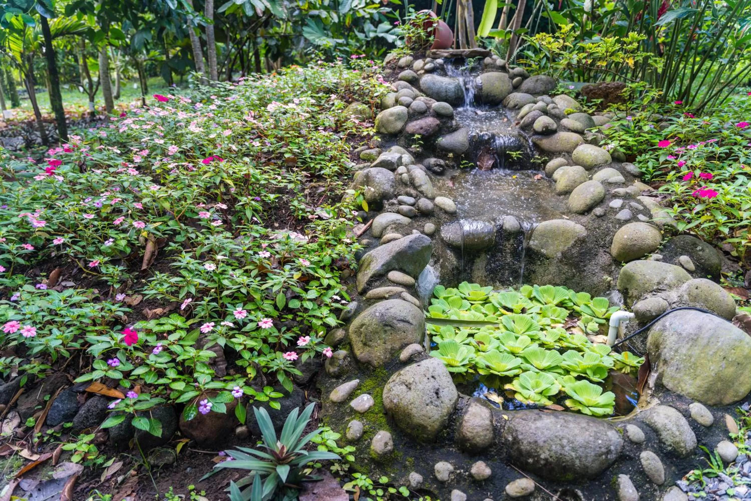 Garden in Hotel Vista del Cerro
