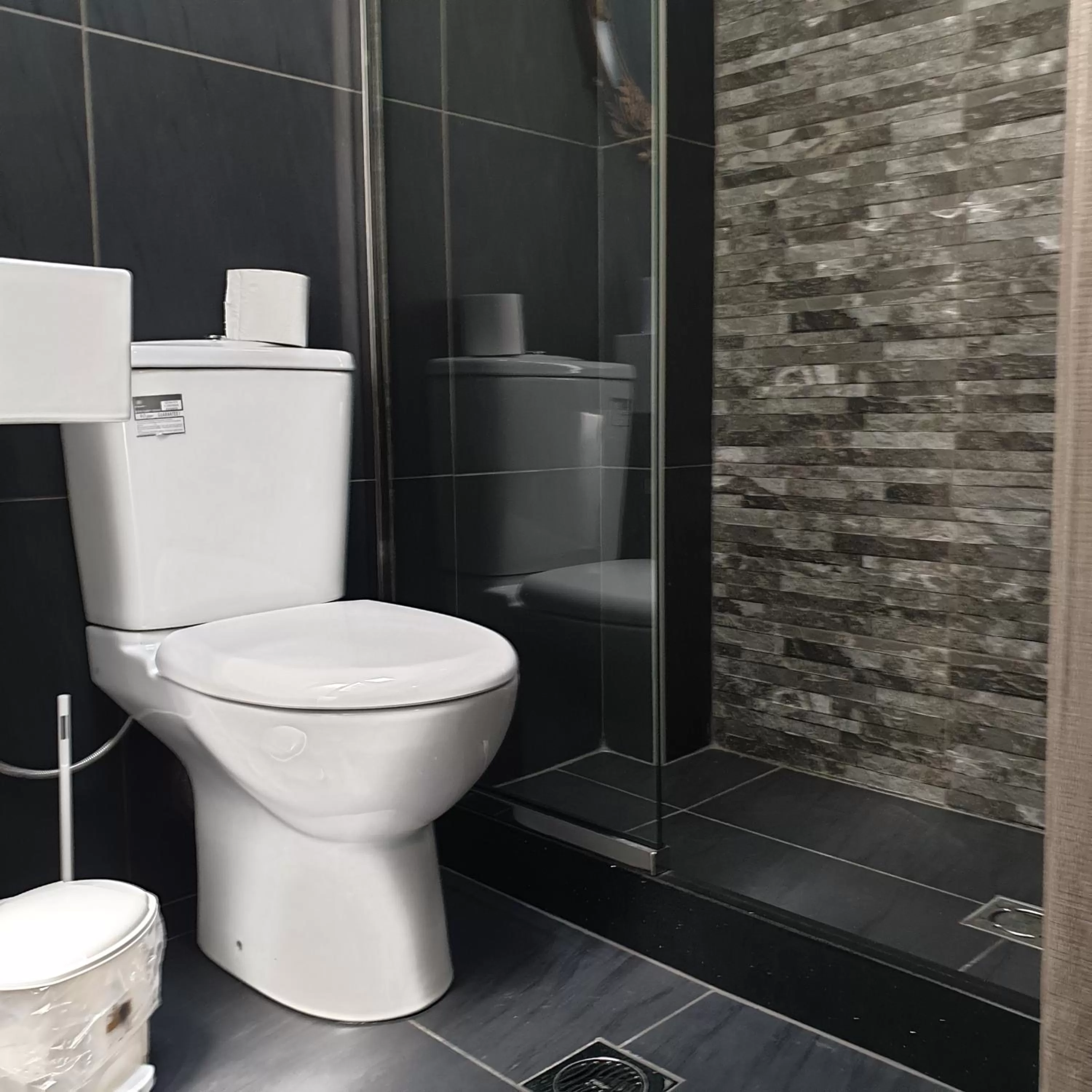 Shower in Alexia's Apartments