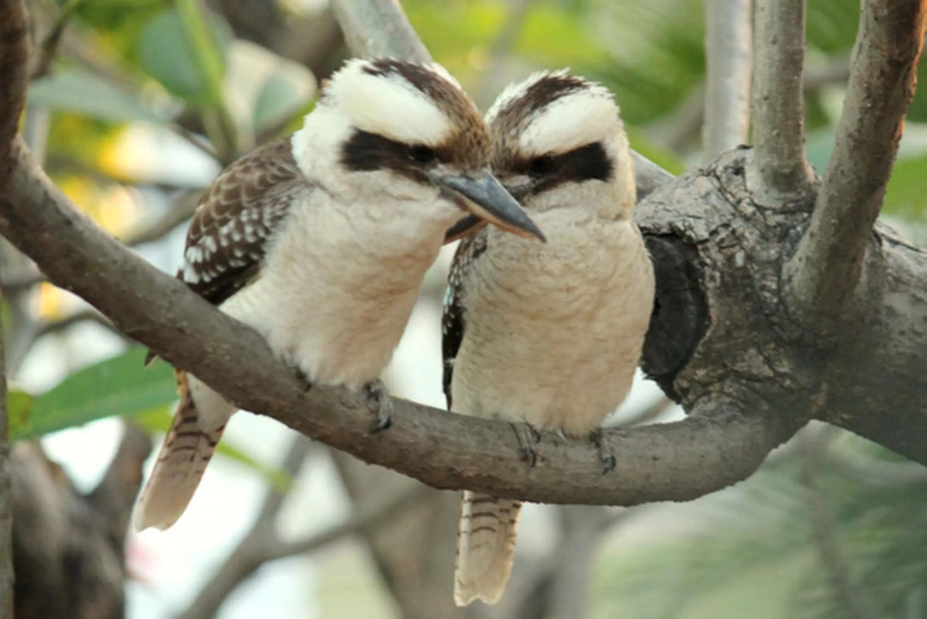 Other in Cedar Lodge Motel