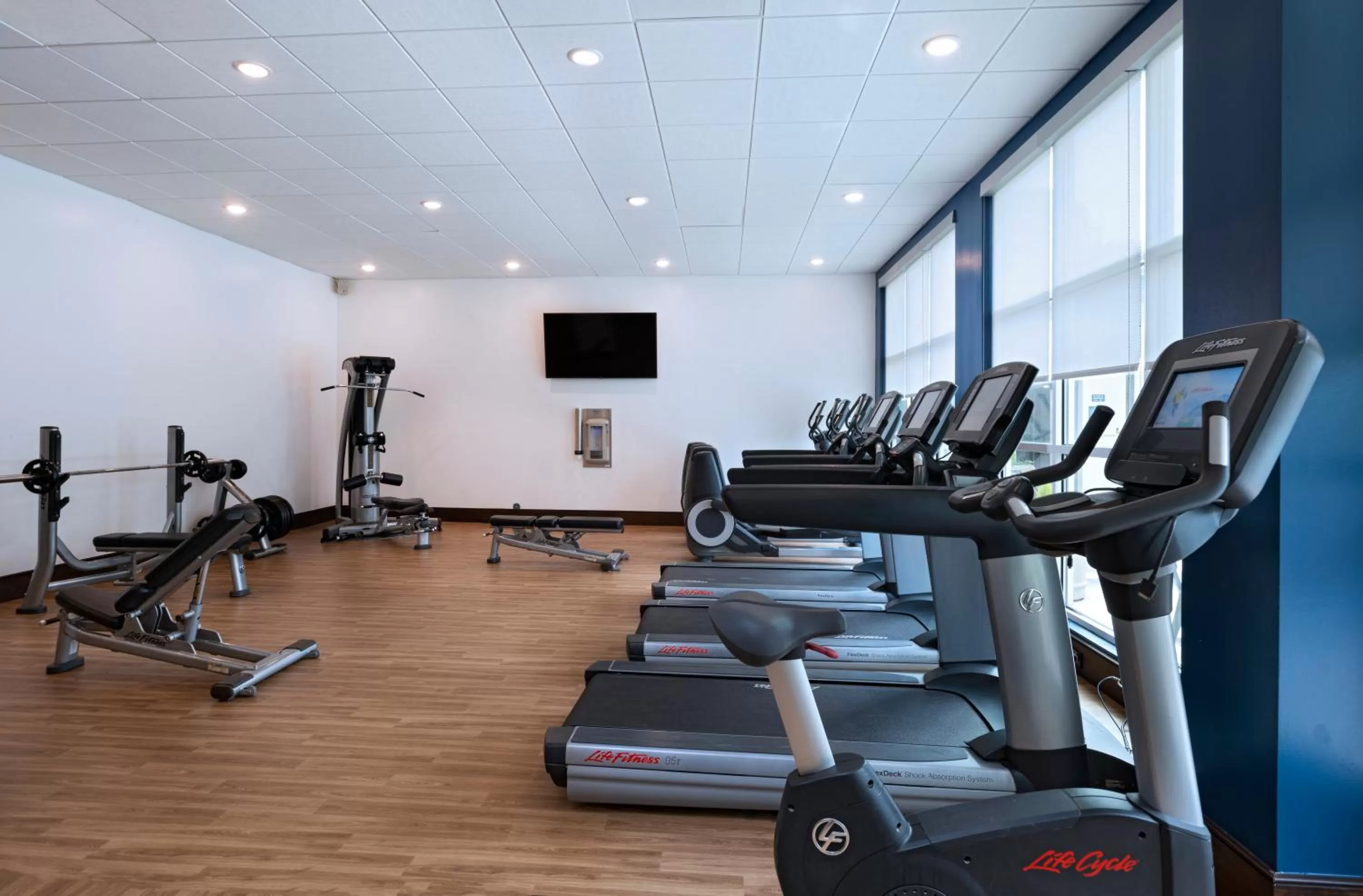 Fitness centre/facilities in Four Points by Sheraton Houston West