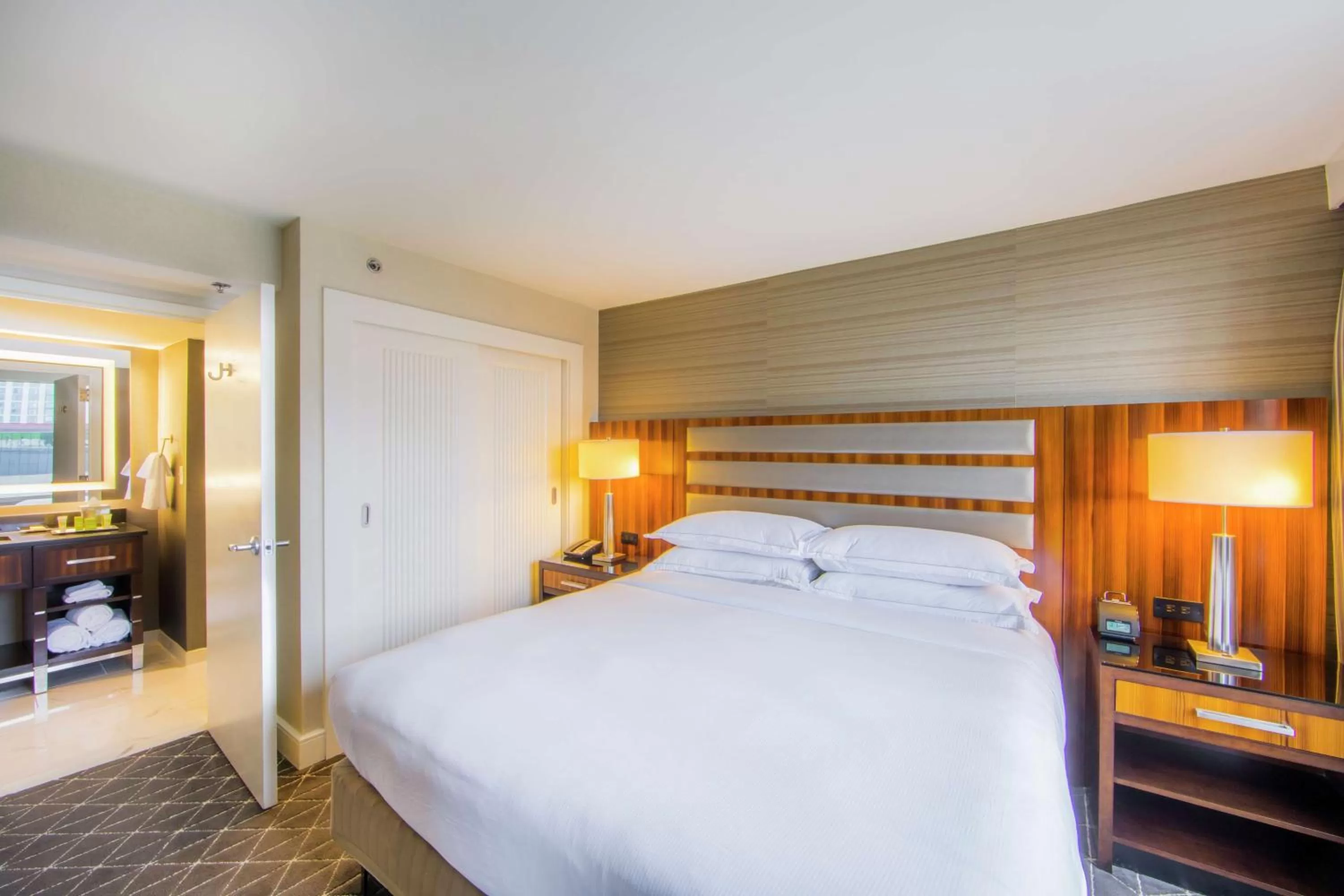 Living room, Bed in Hilton Nashville Downtown