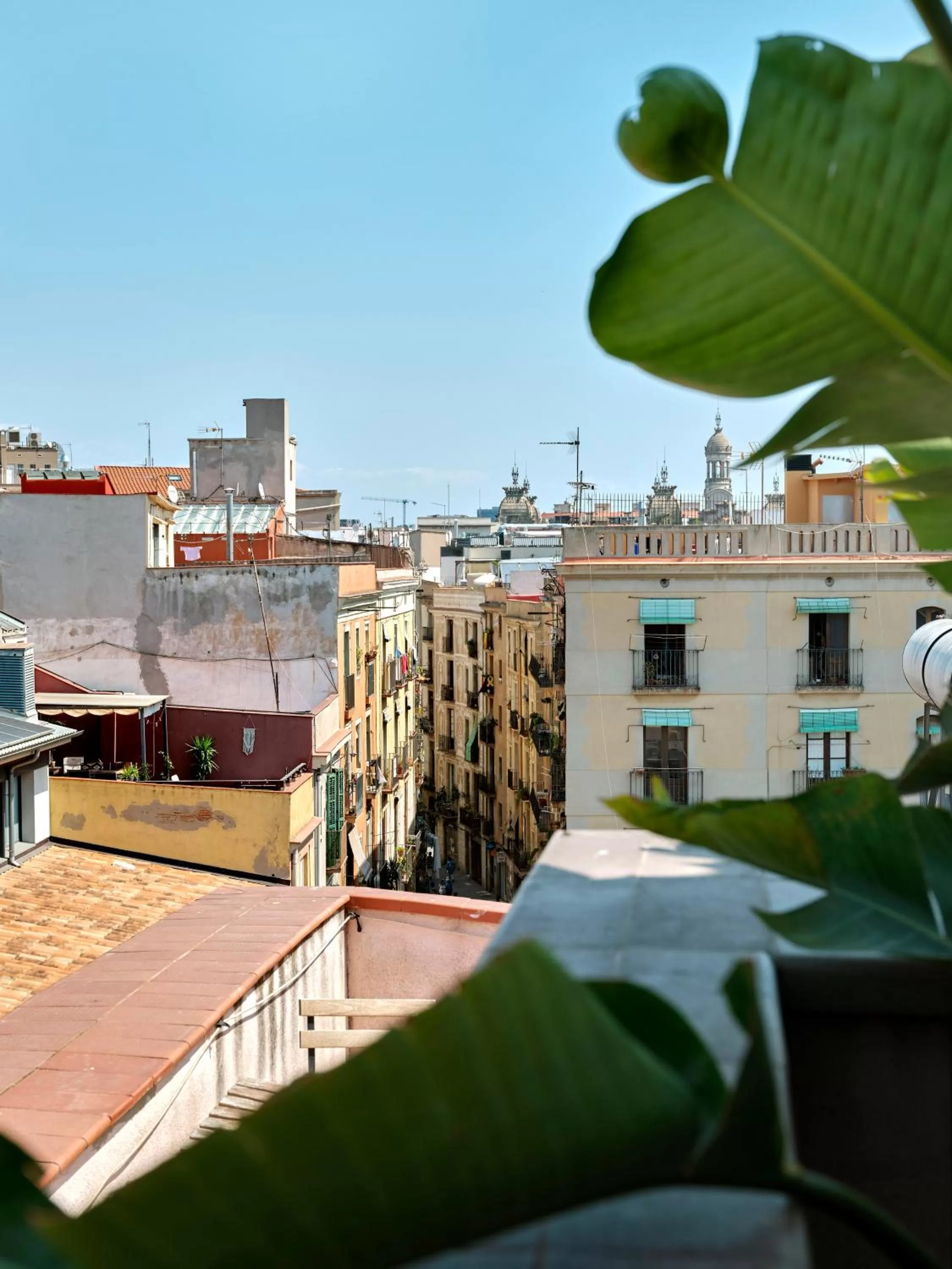 City view in Musik Boutique Hotel - Solo Adultos