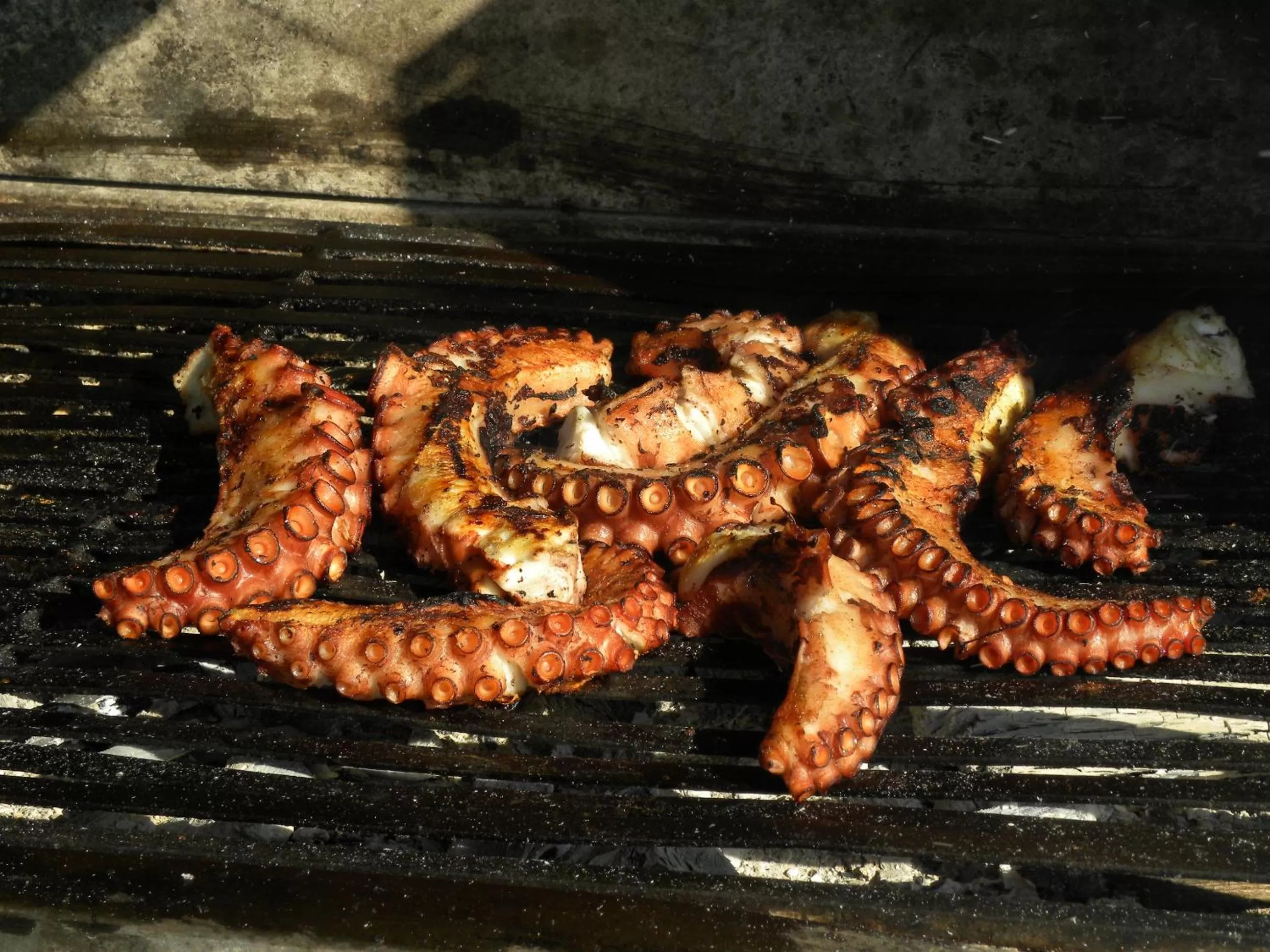 Food close-up in Maxola's Dream Orikum