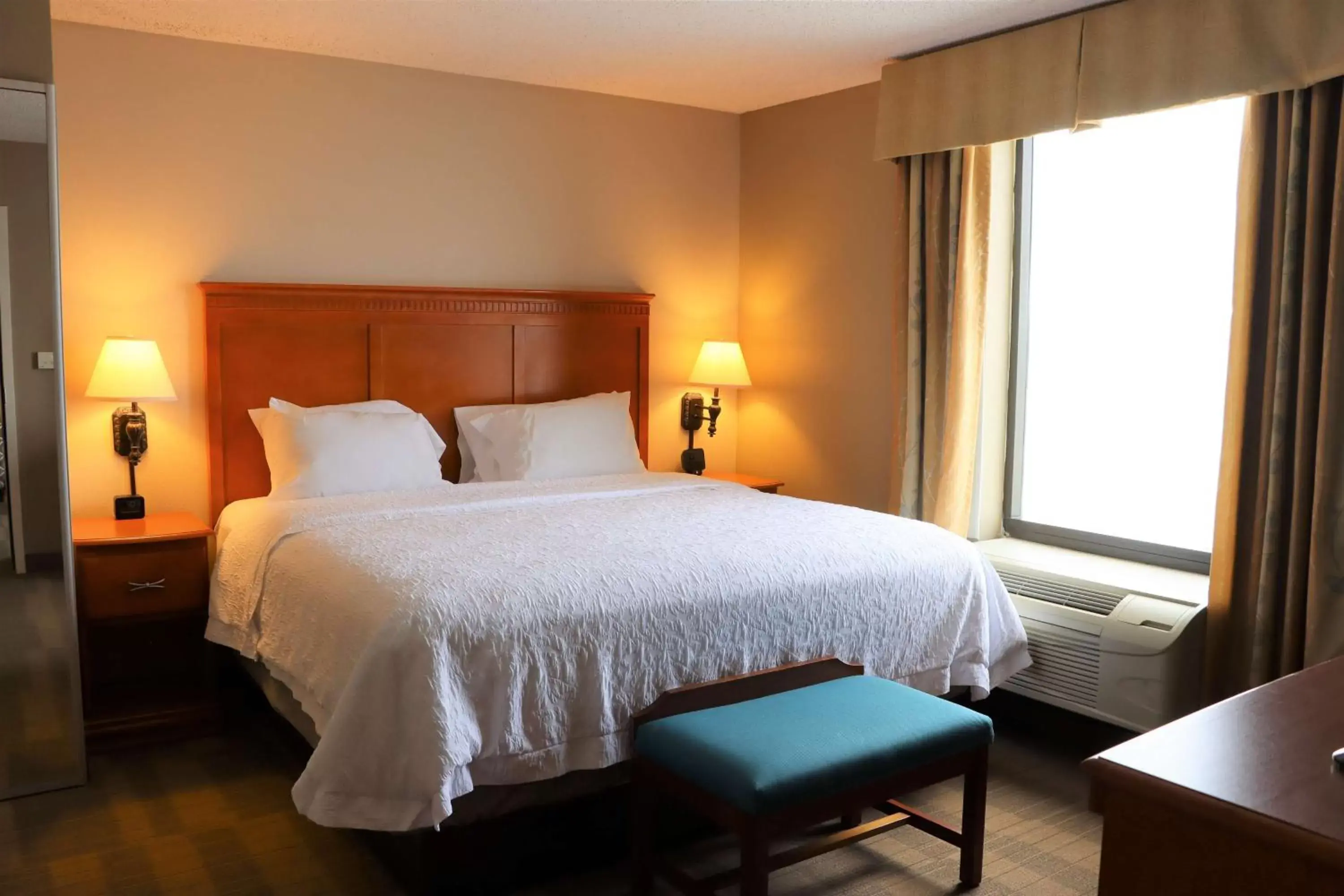 One-Bedroom King Suite with Whirlpool - Non-Smoking in Hampton Inn & Suites Thibodaux One-Bedroom King Suite with Whirlpool - Non-Smoking in Hampton Inn & Suites Thibodaux