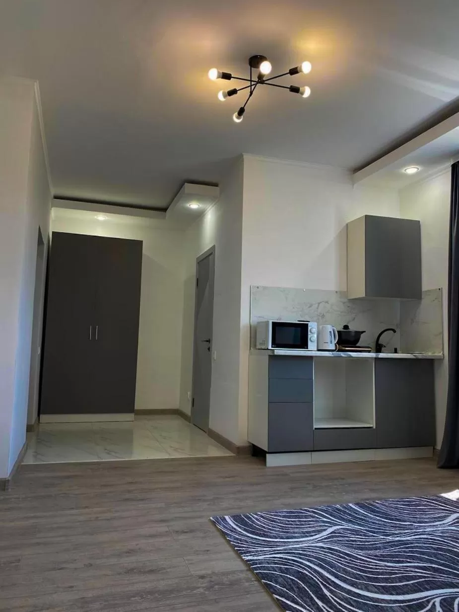 Kitchen/Kitchenette in Astina Hotel