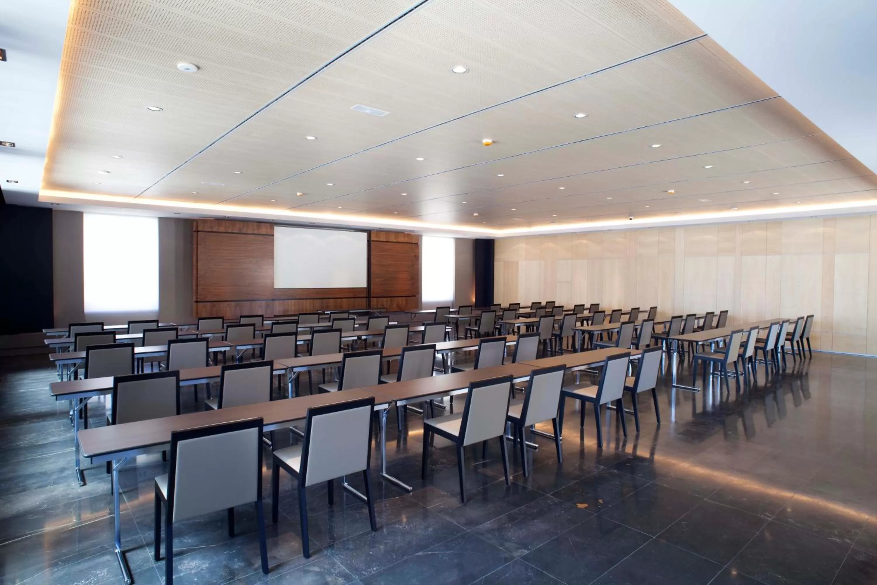 Business facilities in Hotel AF Pesquera