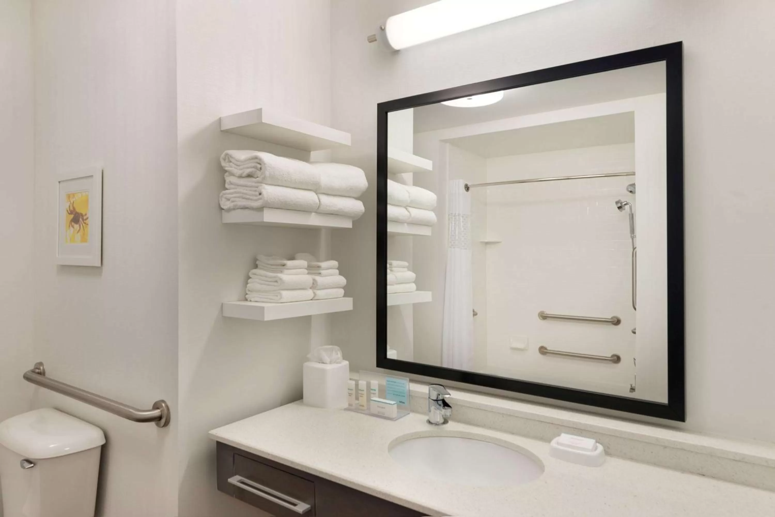 Bathroom in Hampton Inn & Suites - DeLand