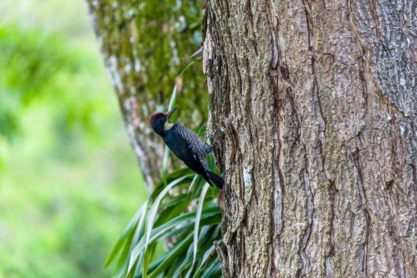 Activities in MuchoSur Quimbaya
