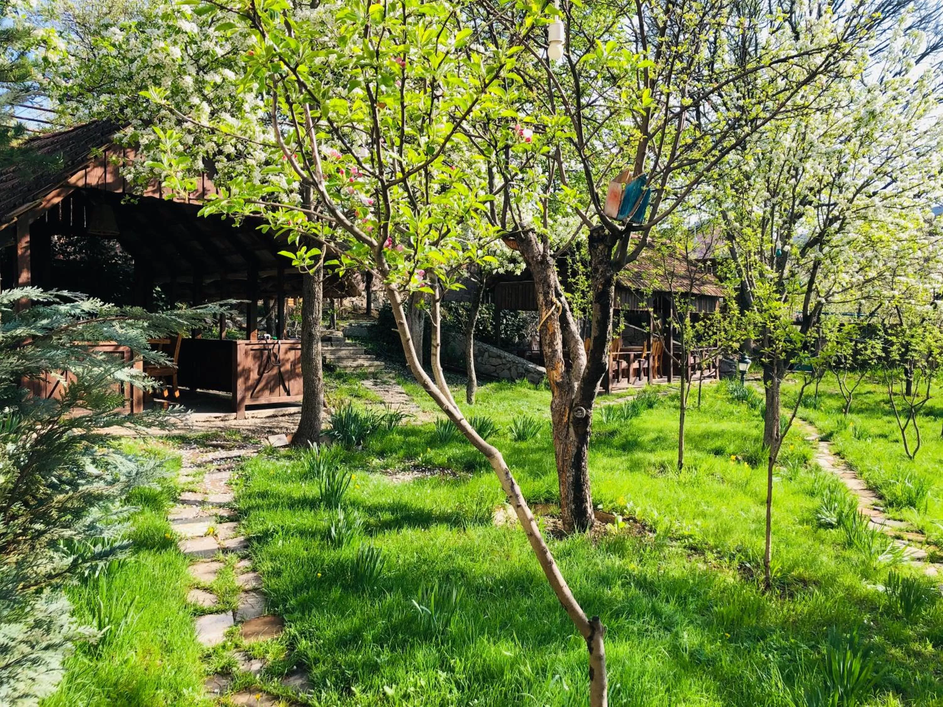 Garden in Dil Hill by Sam