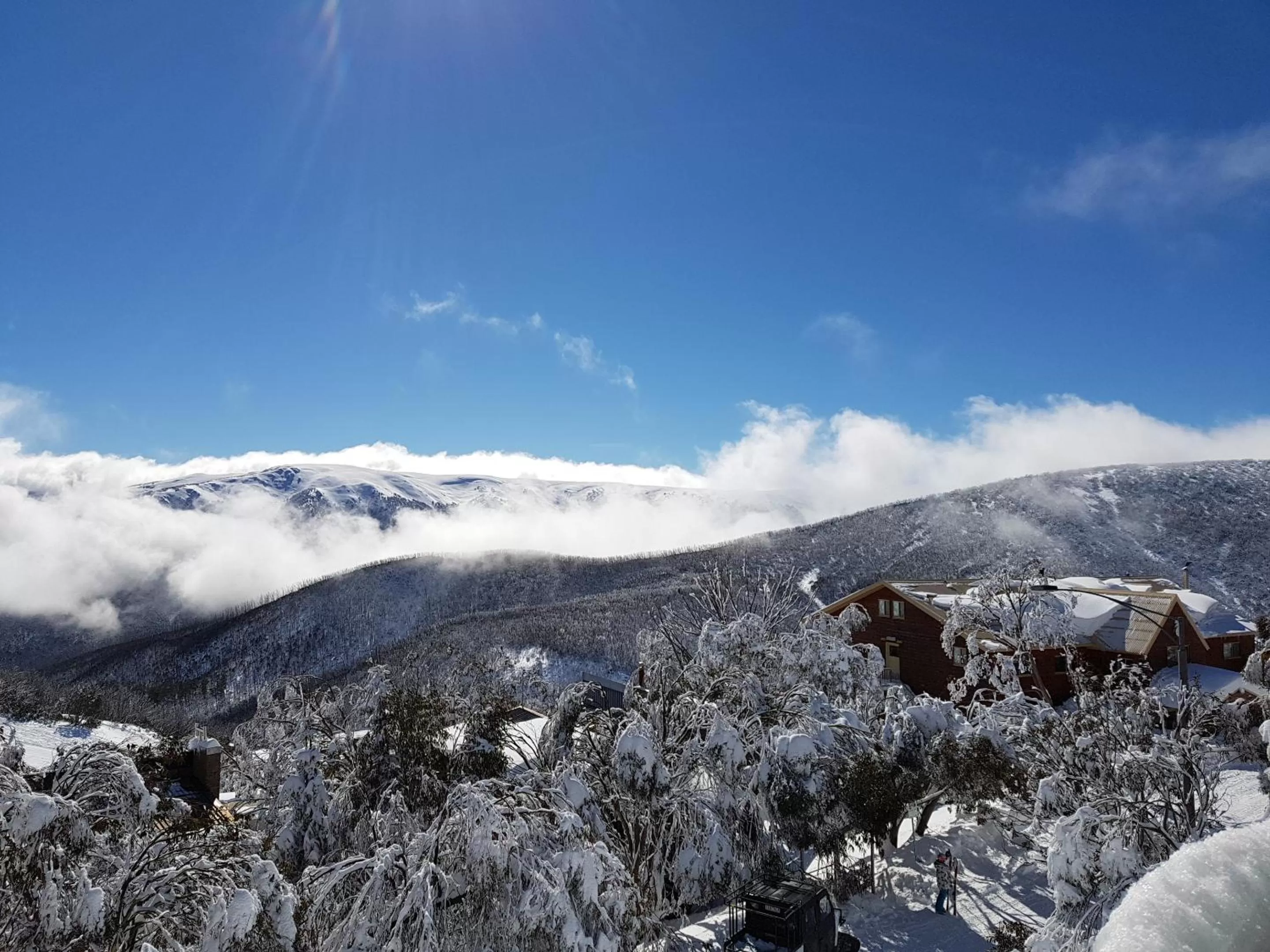 Natural landscape in Cedarwood Apartments