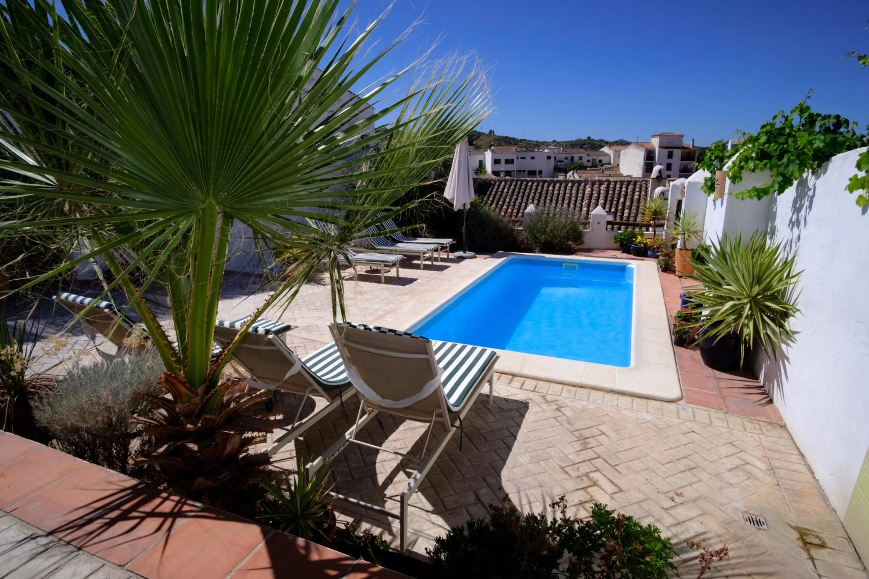 Swimming pool in Almohalla51