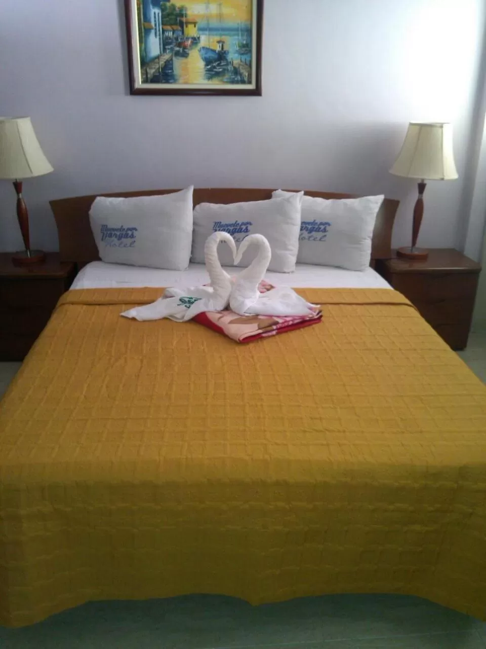 HOTEL MUEVETE POR VARGAS