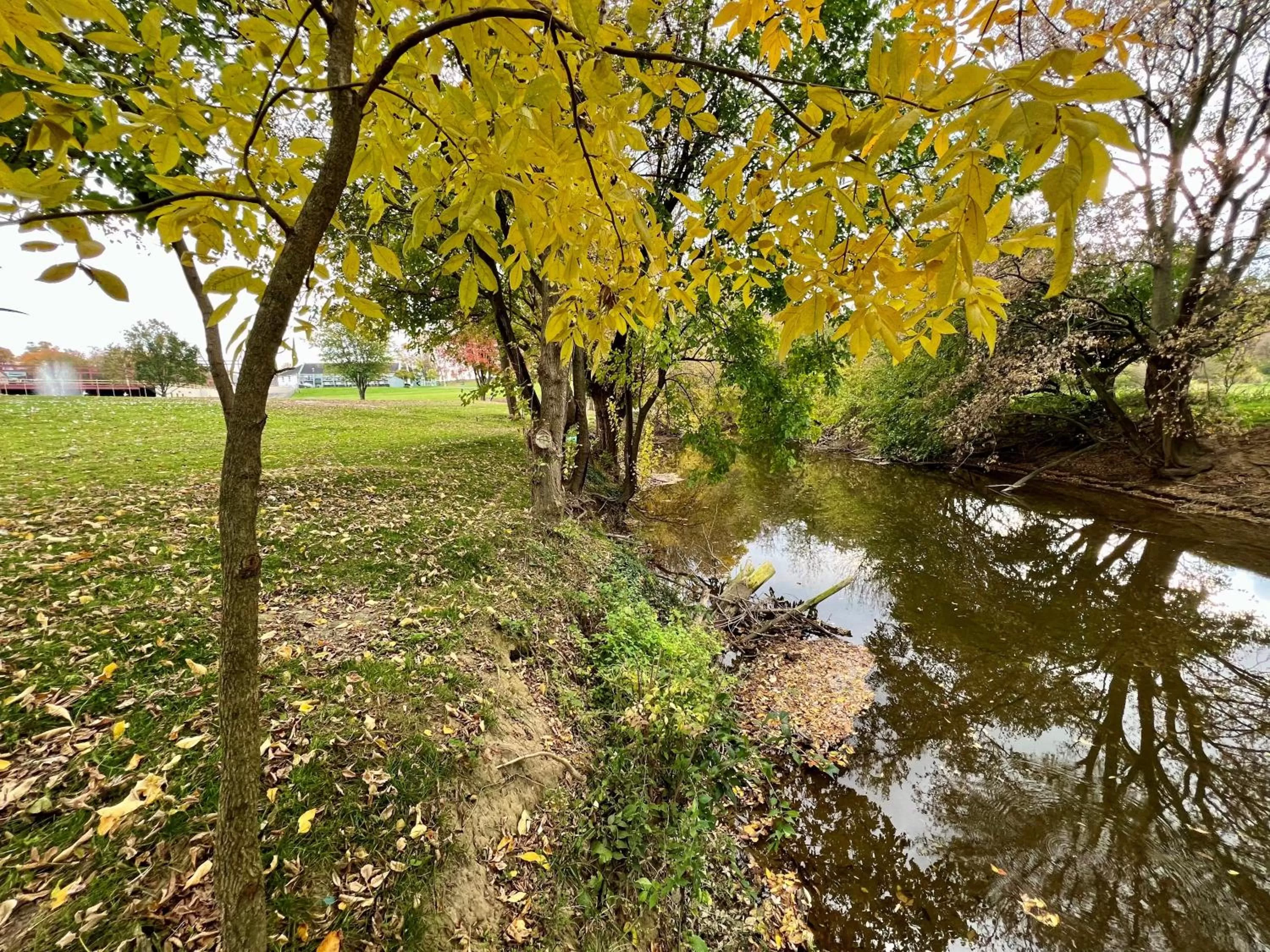 View (from property/room) in Hershey Farm Resort