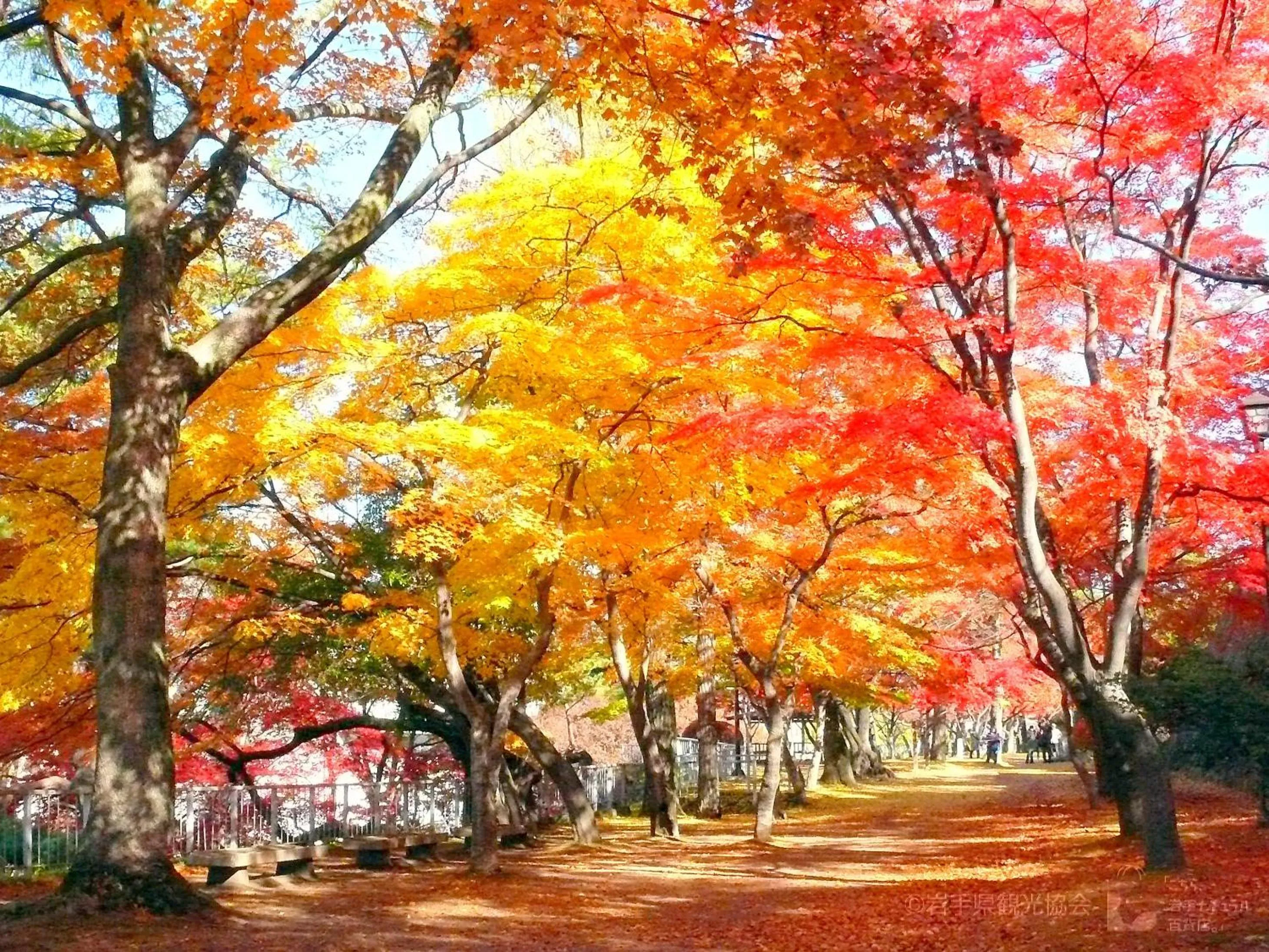 Nearby landmark, Garden in Hotel Higashinihon Morioka