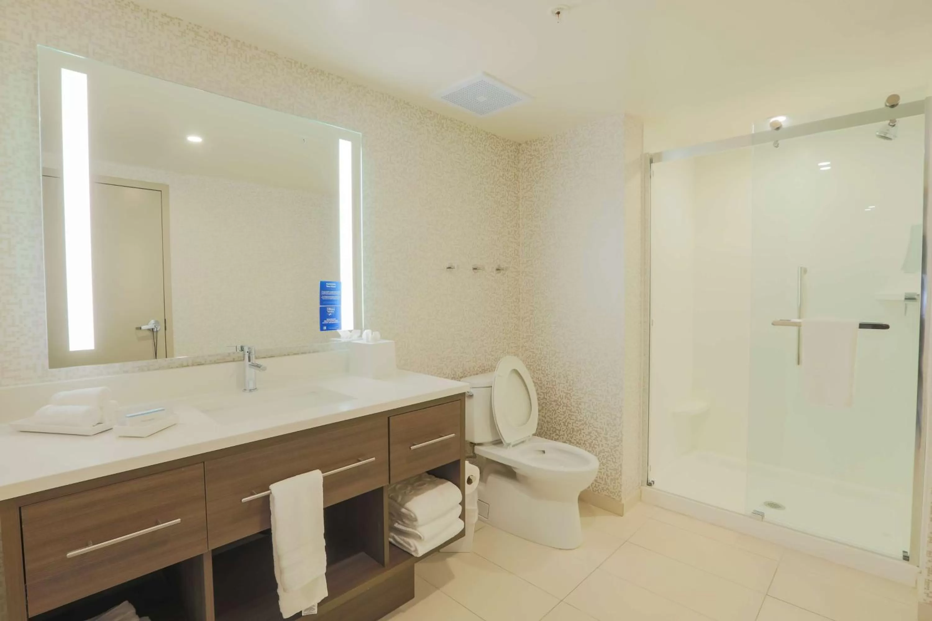 Bathroom in Home2 Suites By Hilton Cumming Atlanta, Ga