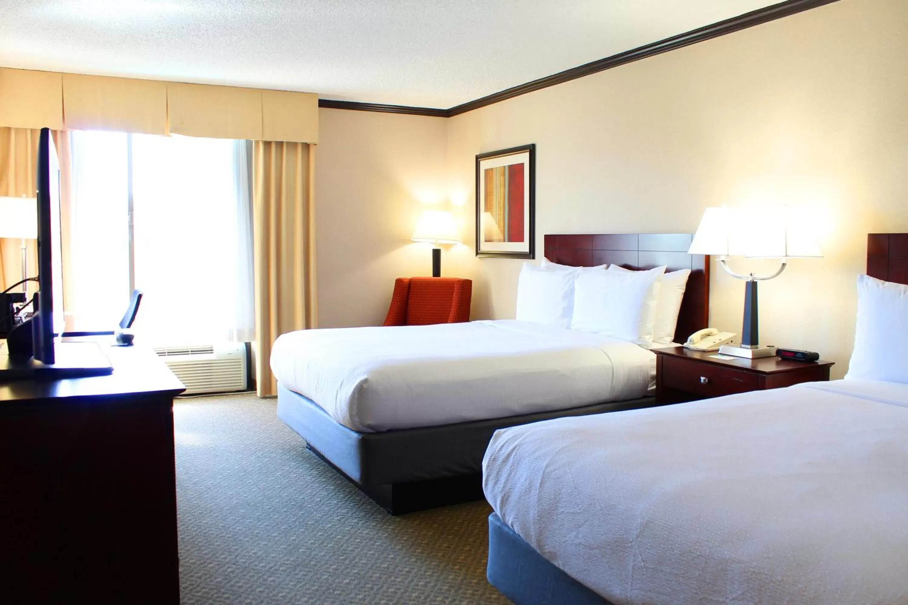 Queen Room with Pool View in Hotel Burbank Queen Room with Pool View in Hotel Burbank