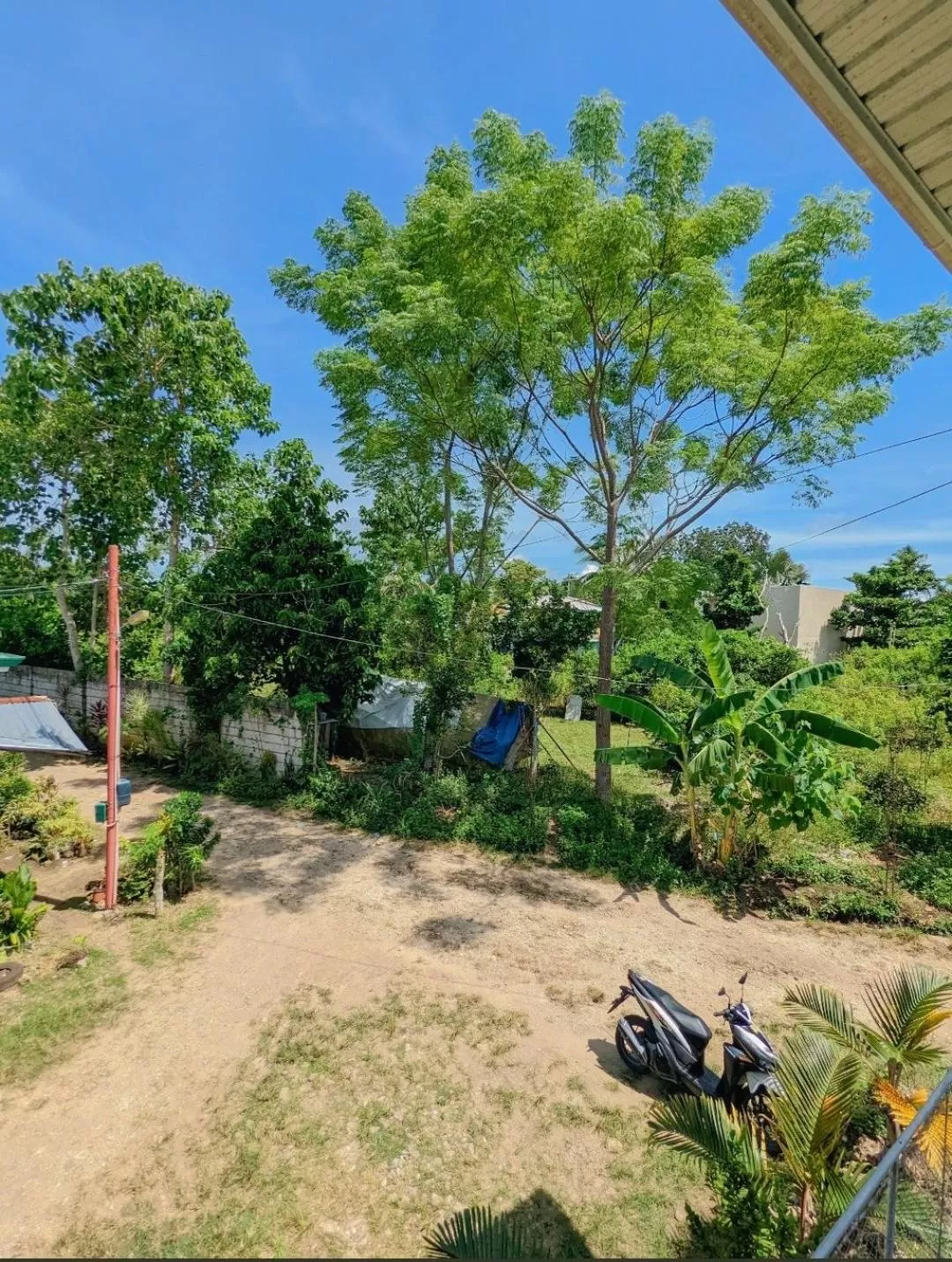 Charlina Inn Panglao