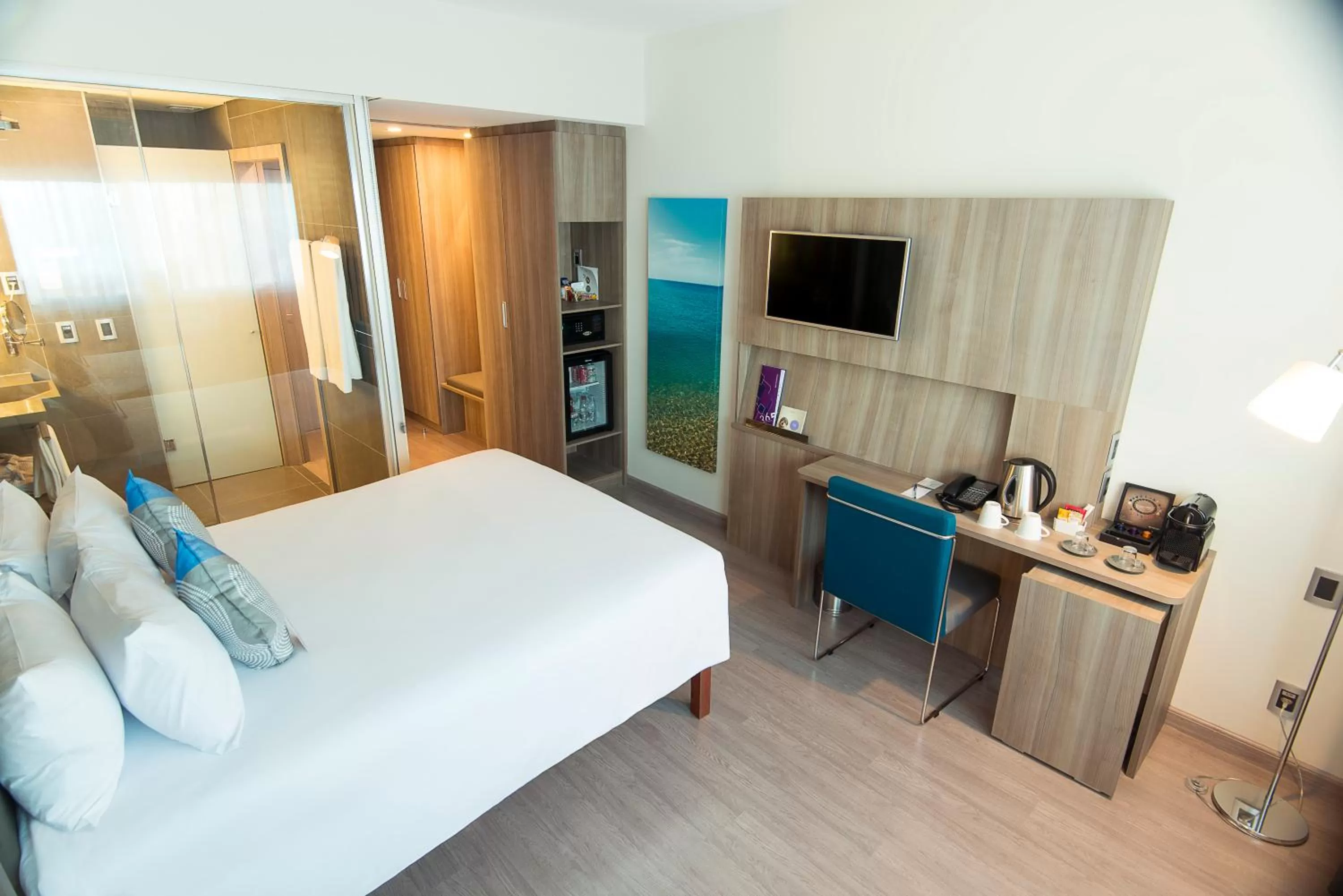 Excecutive Apartment with Ocean View in Novotel Santos Gonzaga