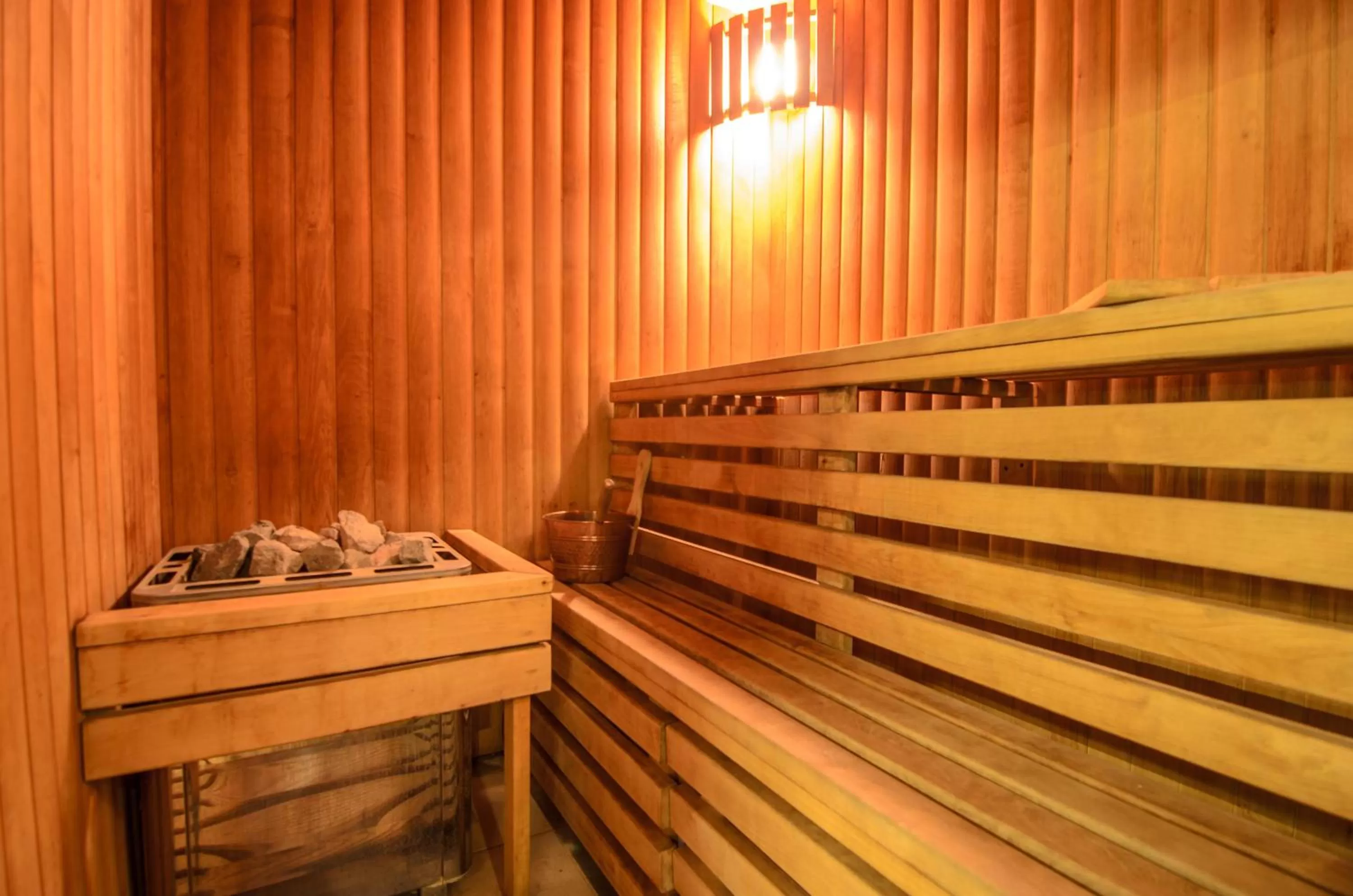 Sauna in Hotel Zemaites