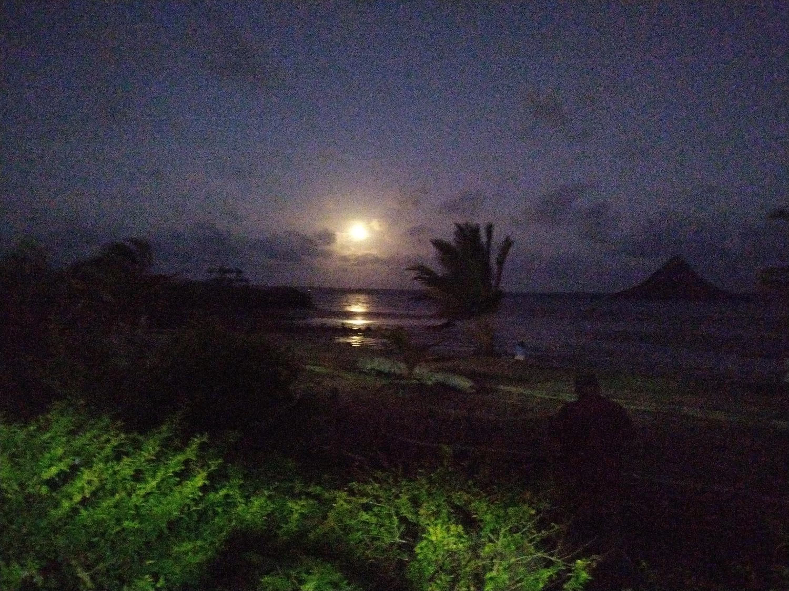 Natural Landscape in SANJEELA-PLAGE COCO