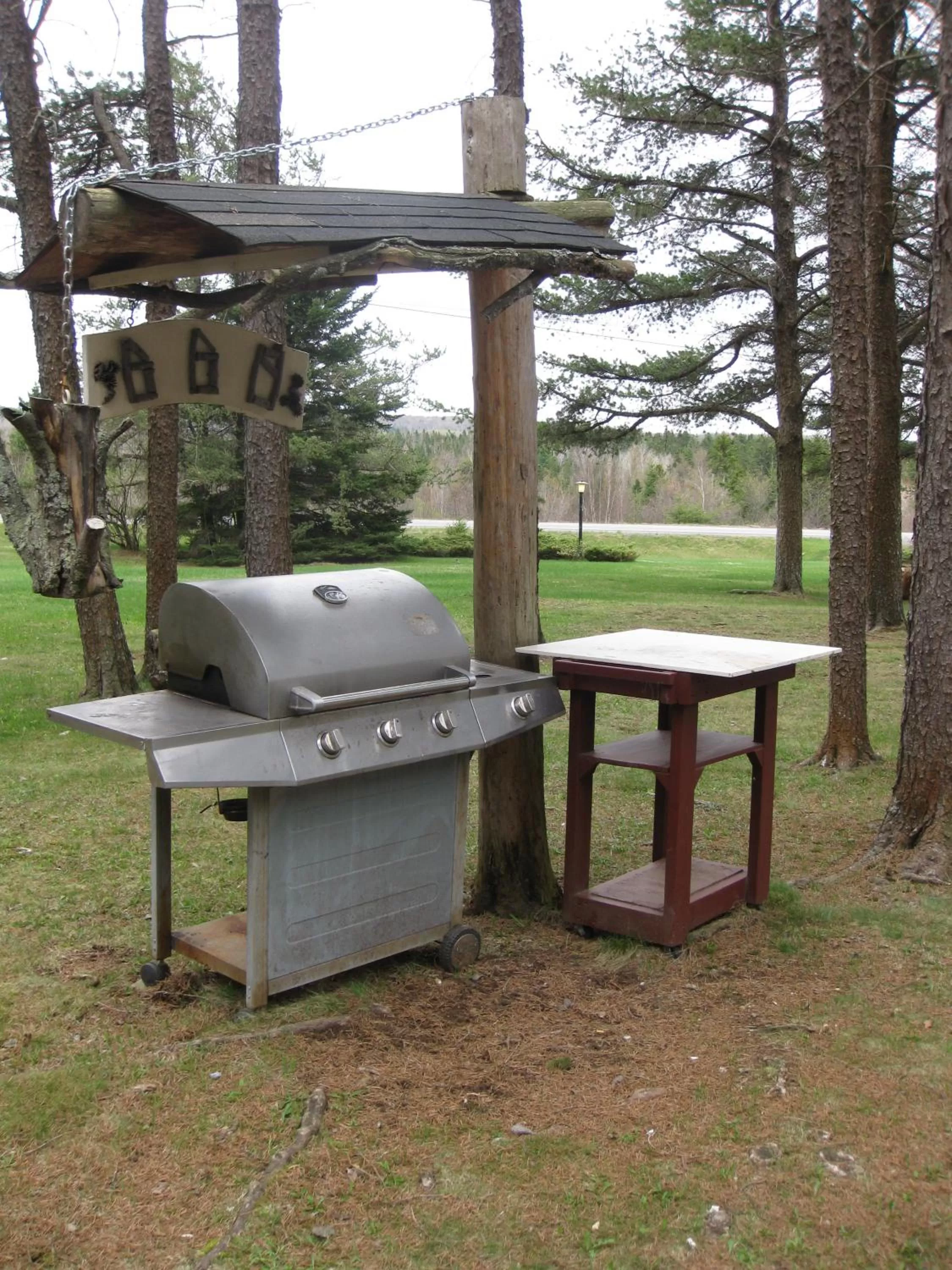 Day in Pinecone Motel