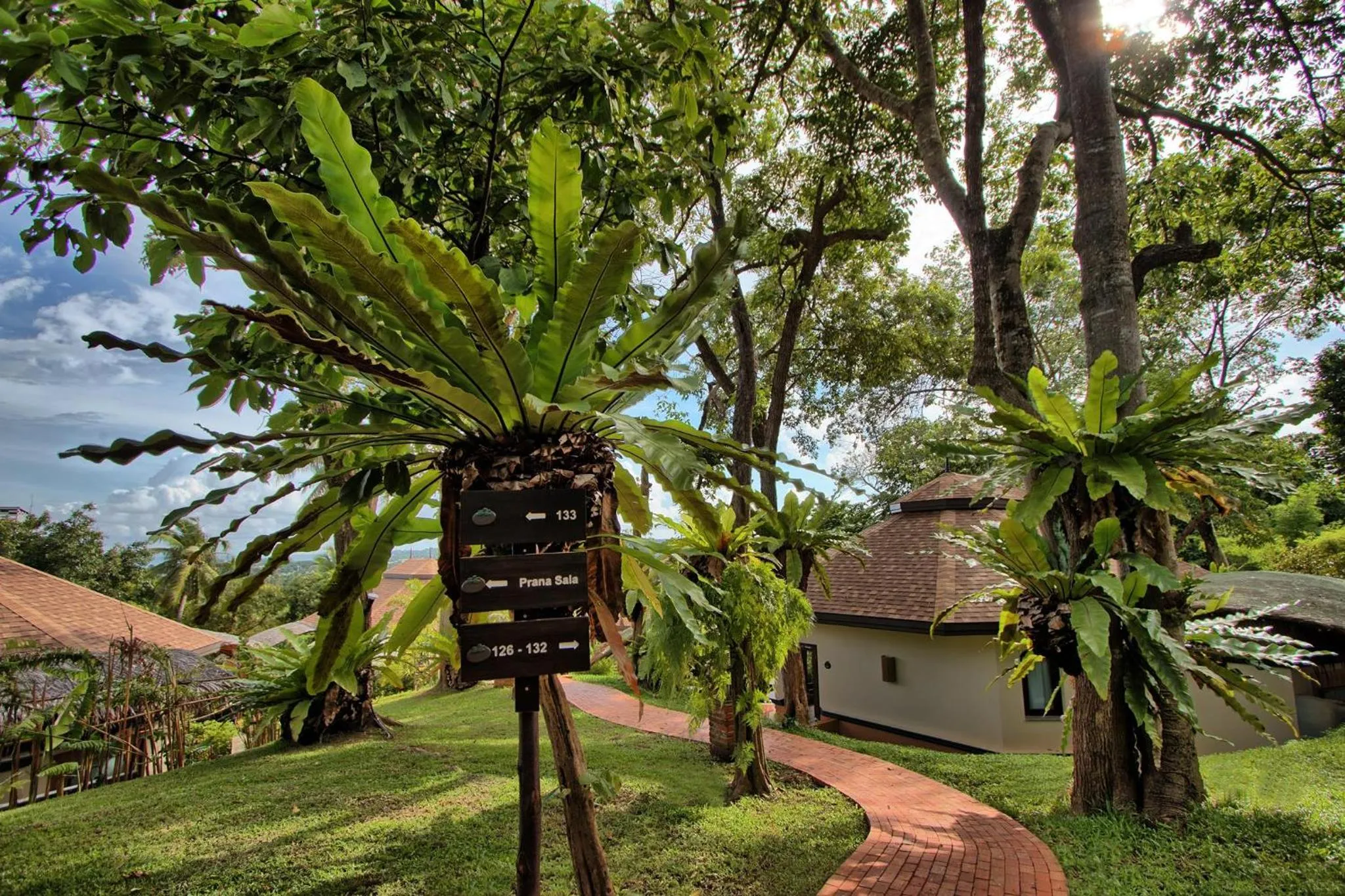 Garden in Mangosteen Ayurveda & Wellness Resort - SHA Plus