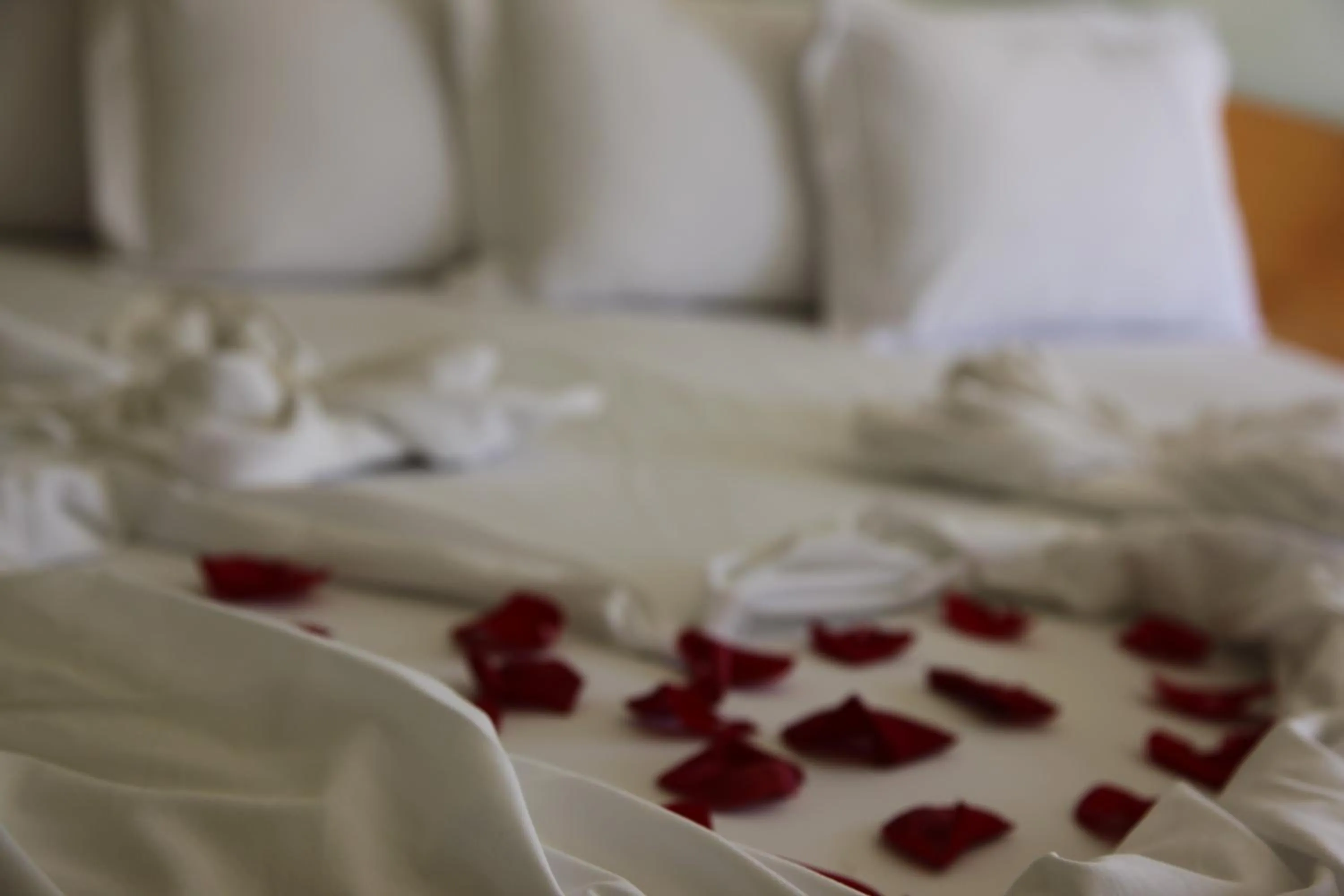 Decorative detail, Bed in San Raphael Hotel