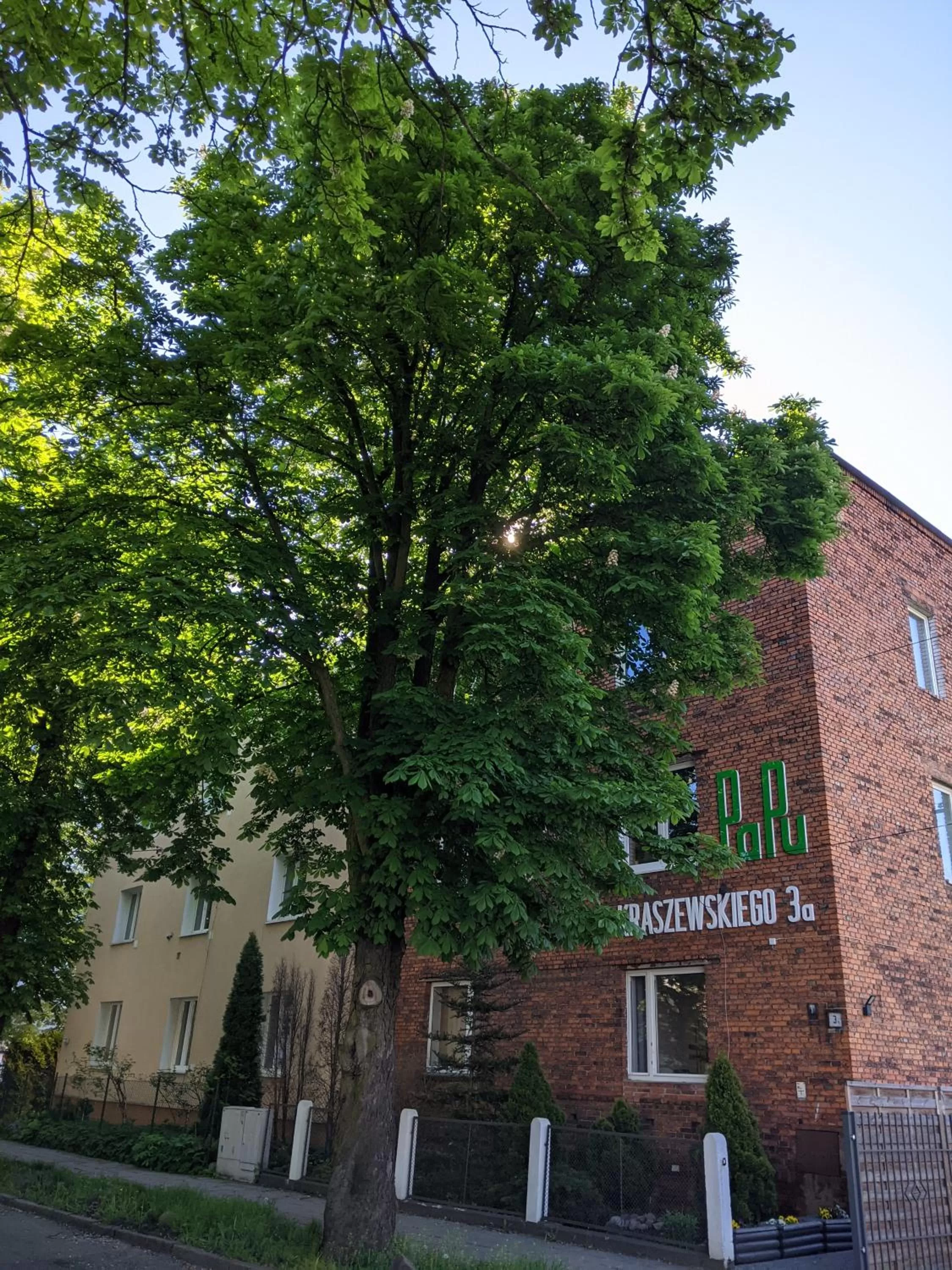 Property building in B&B Kraszewskiego3A
