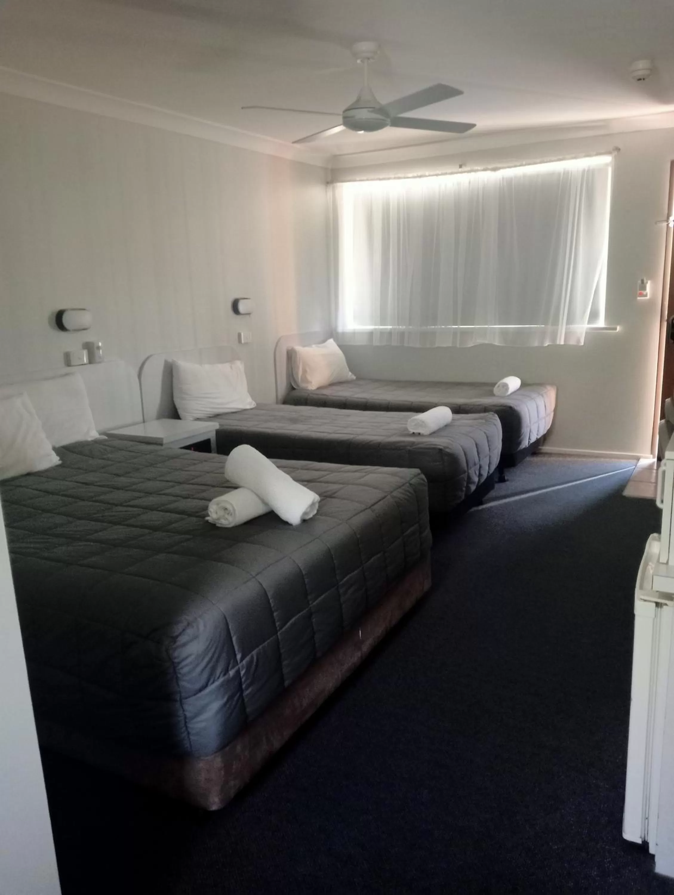 Bed in Forster Palms Motel