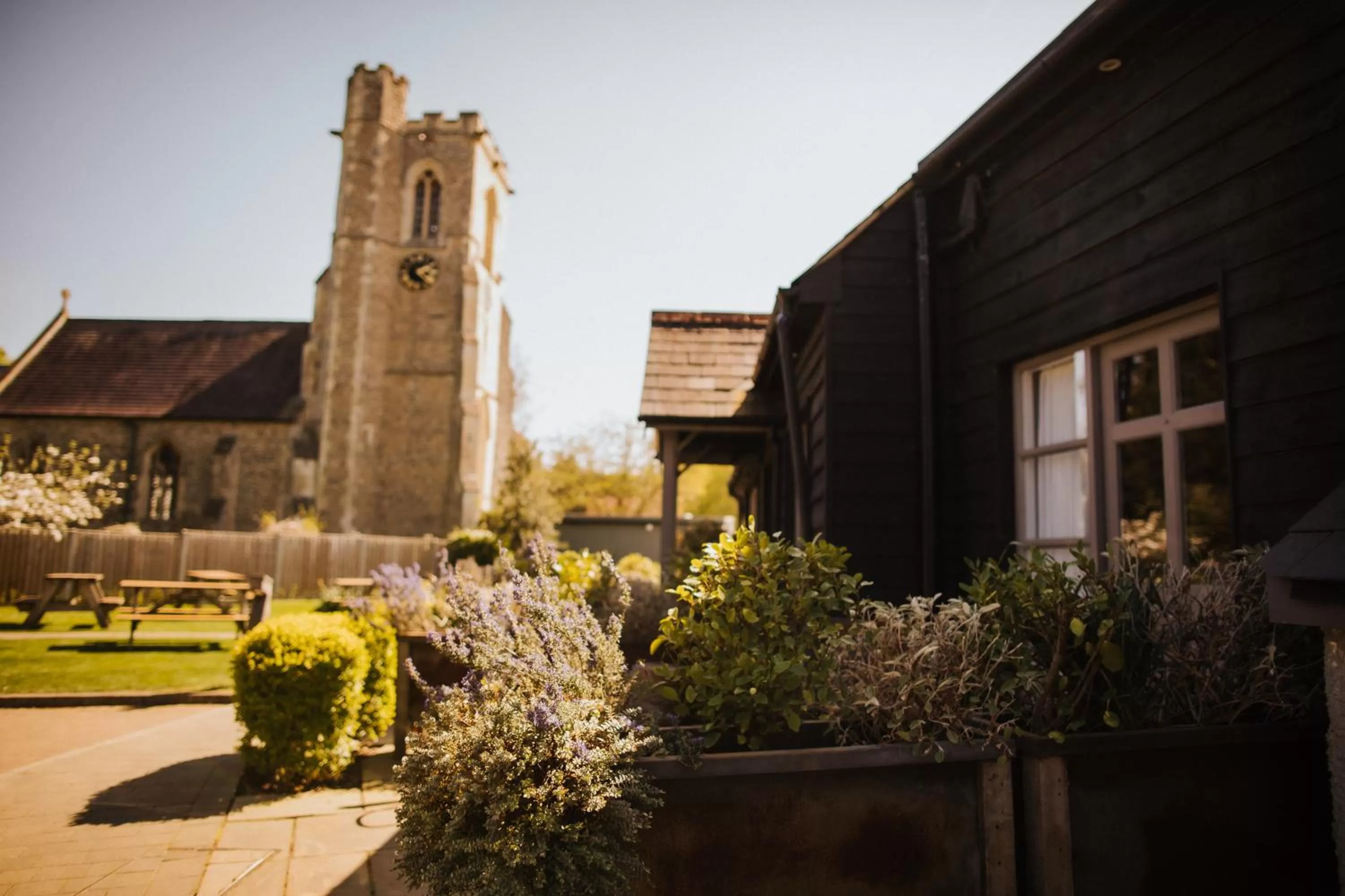 Garden in The Fox at Willian