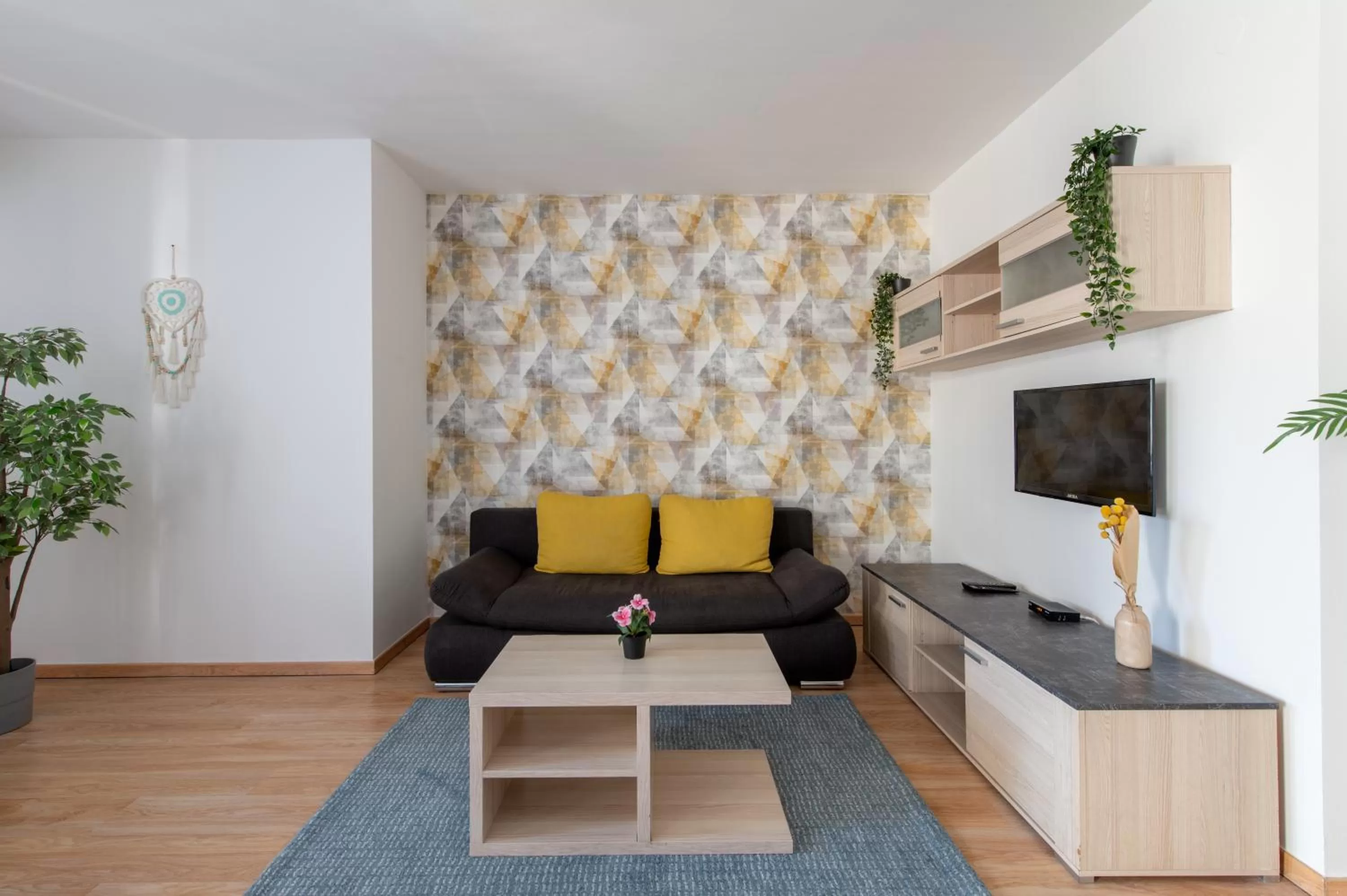 TV and multimedia in Prince Apartments