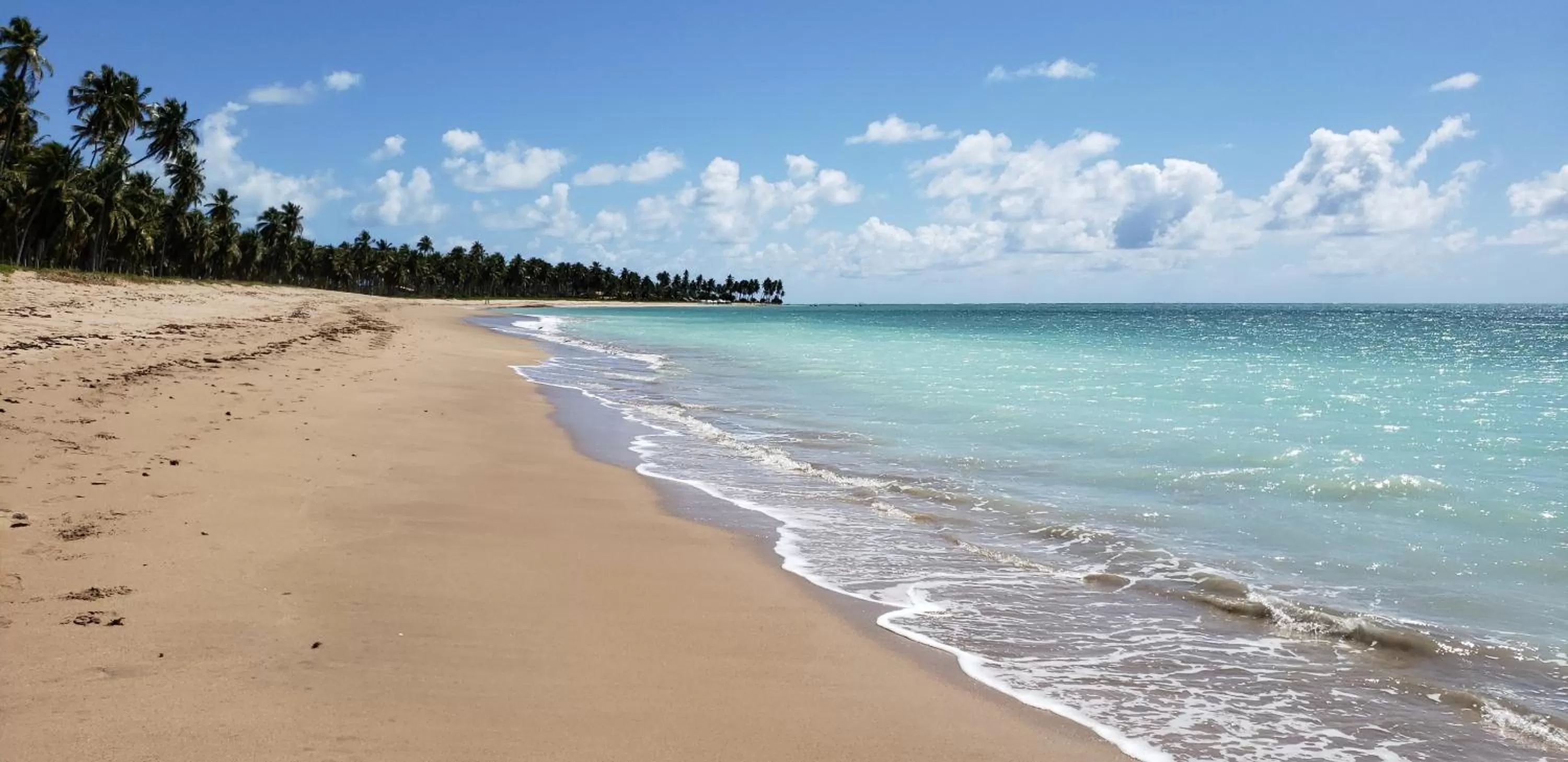 Beach in Arataba Hotel Boutique e Bistrô - 150 mts do mar