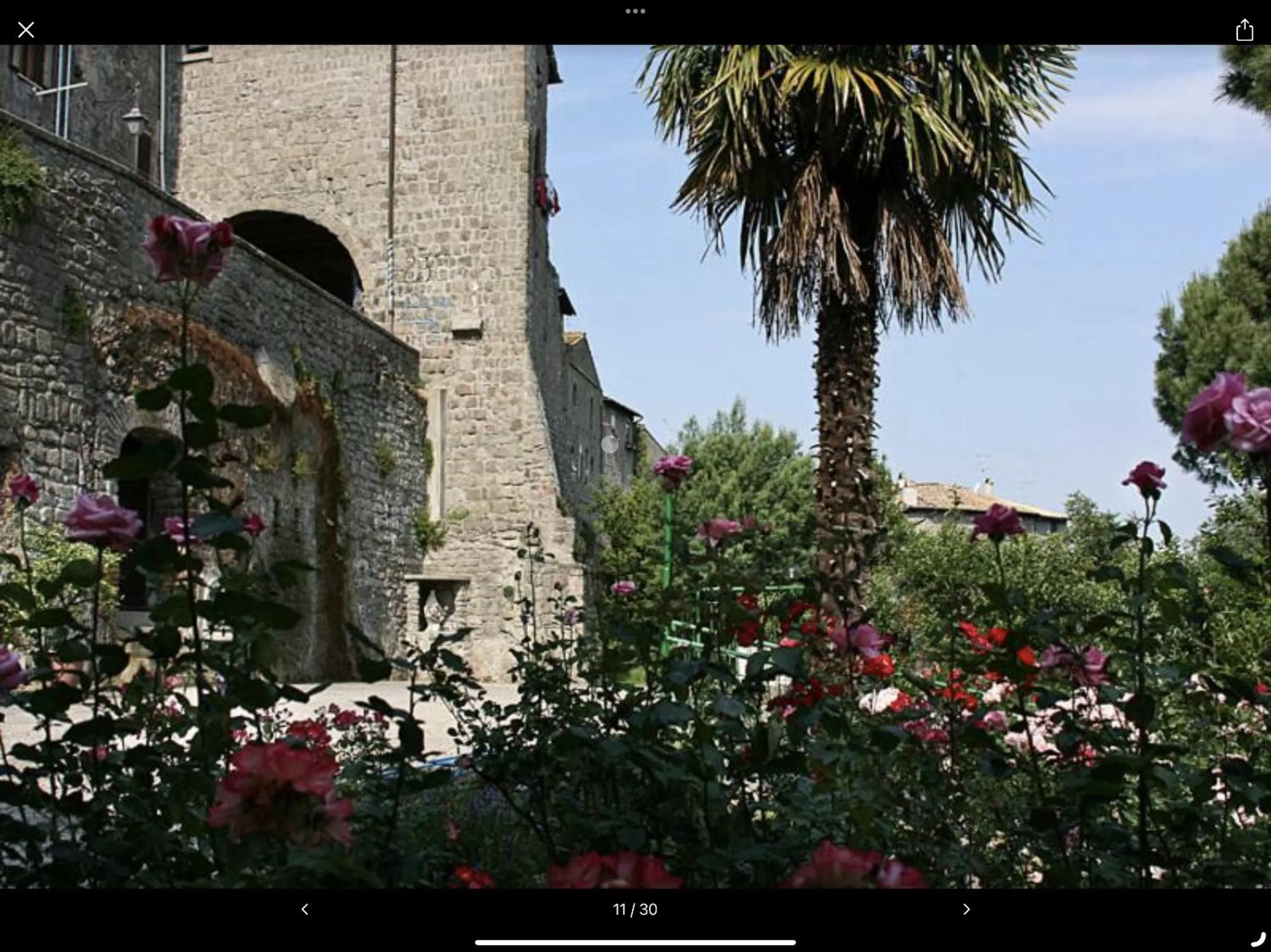 Garden view in Nazareth Residence