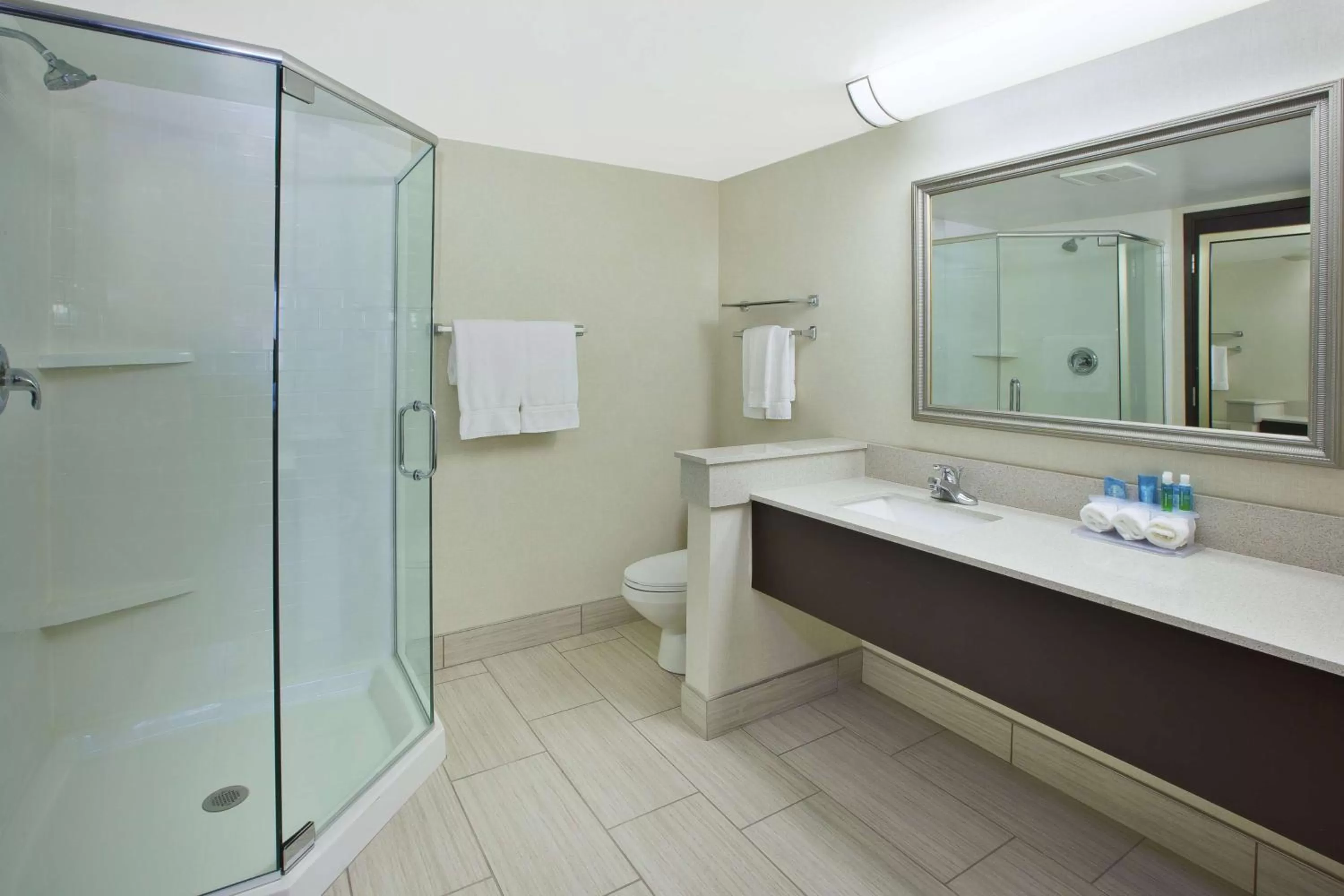 King Suite with Spa Bath and Kitchenette in Best Western Okemos/East Lansing Hotel & Suites
